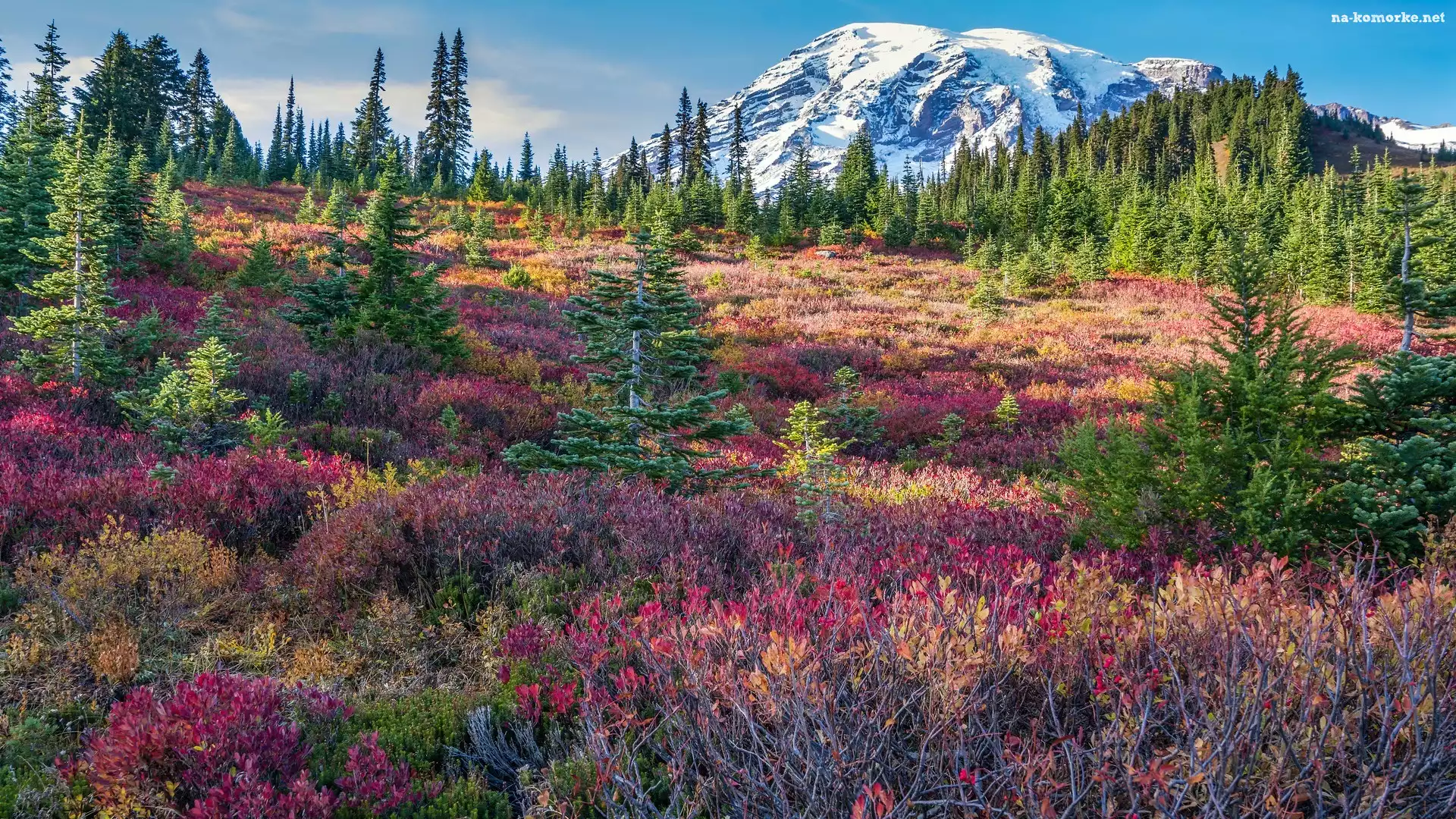 Drzewa, Park Narodowy Mount Rainier, Stratowulkan, Mount Rainier, Rośliny, Waszyngton, Stany Zjednoczone, Łąka, Góry, Chmury, Kolorowe