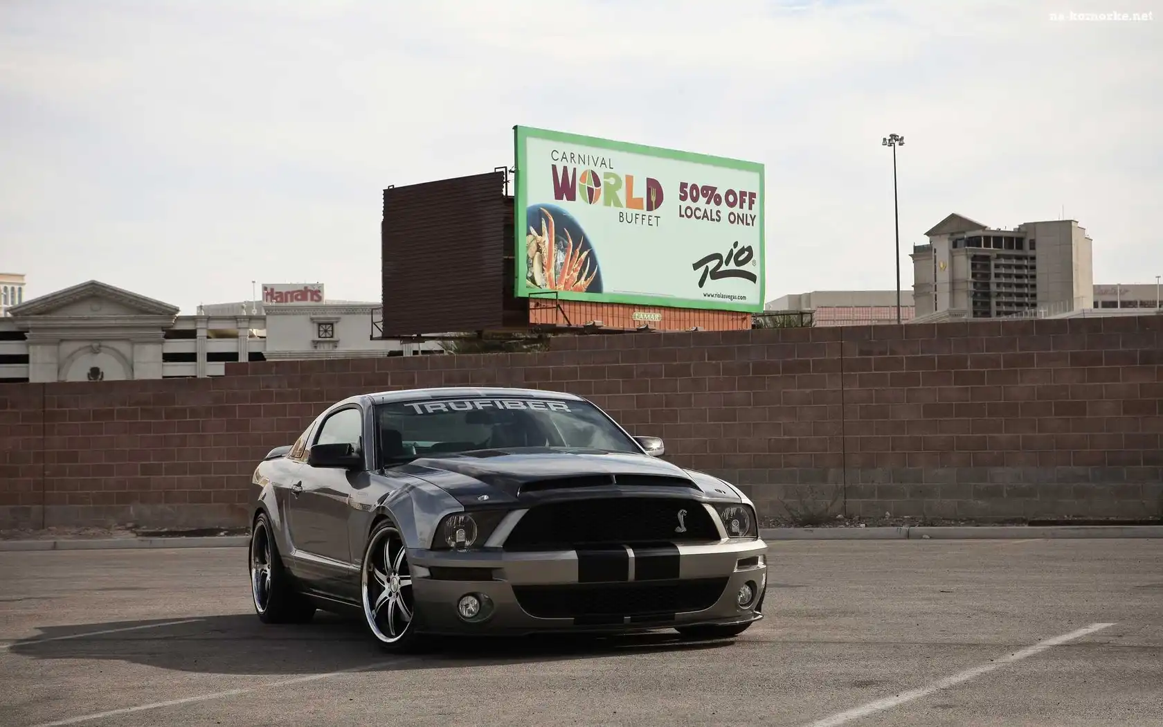 Ford Mustang, Shelby