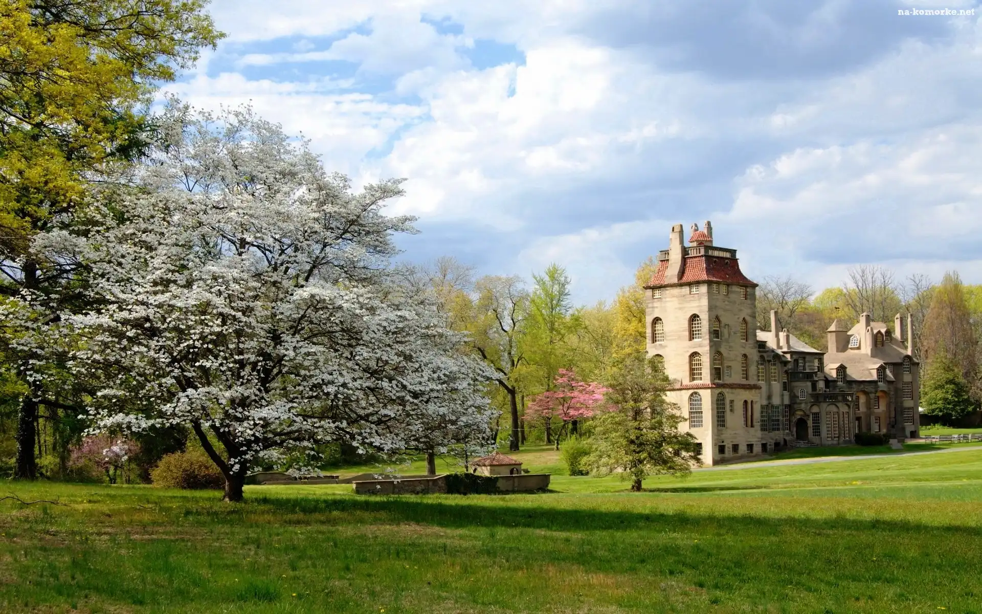 Drzewa, Muzeum, Fonthill Castle, Stan Pensylwania, Stany Zjednoczone