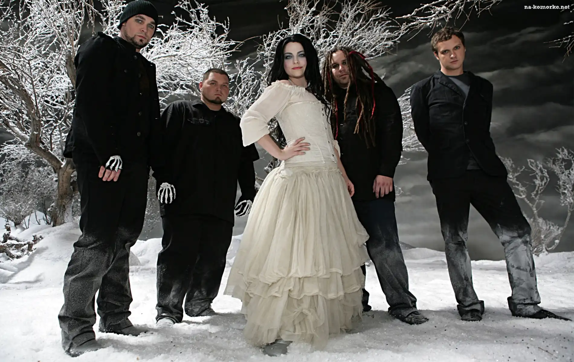 rock, muzyka, Evanescence, Amy Lee, zespół, suknia
