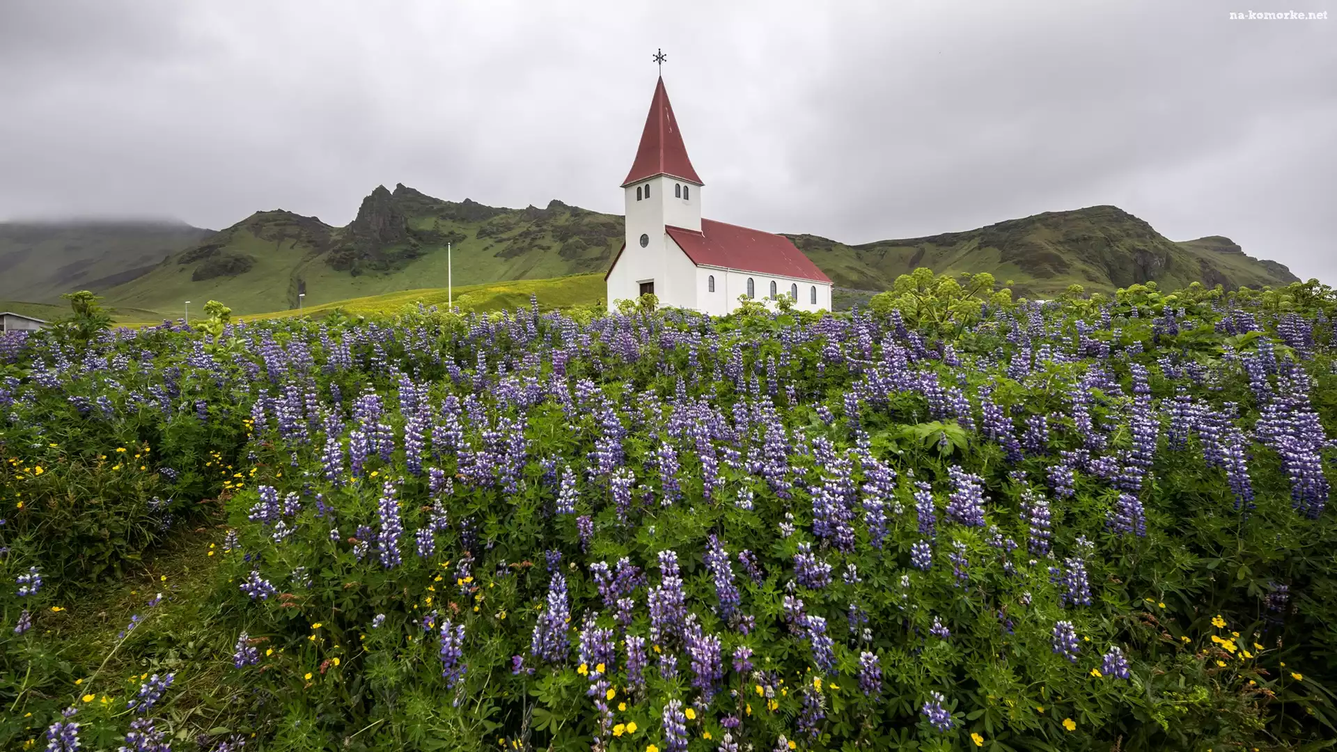 Miejscowość Vik i Myrdal, Łubin, Kościół, Islandia, Góry, Gmina Myrdalshreppur