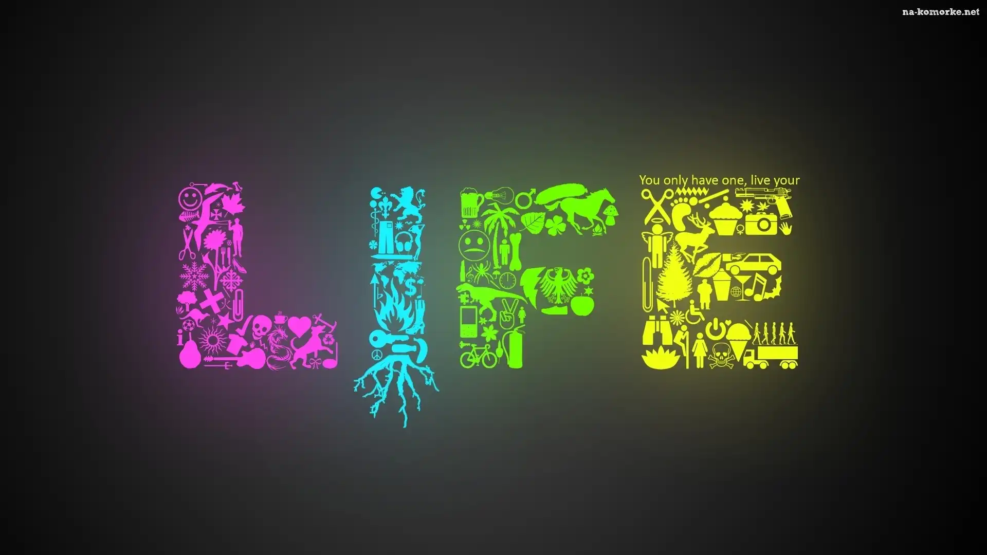 Napis, Life
