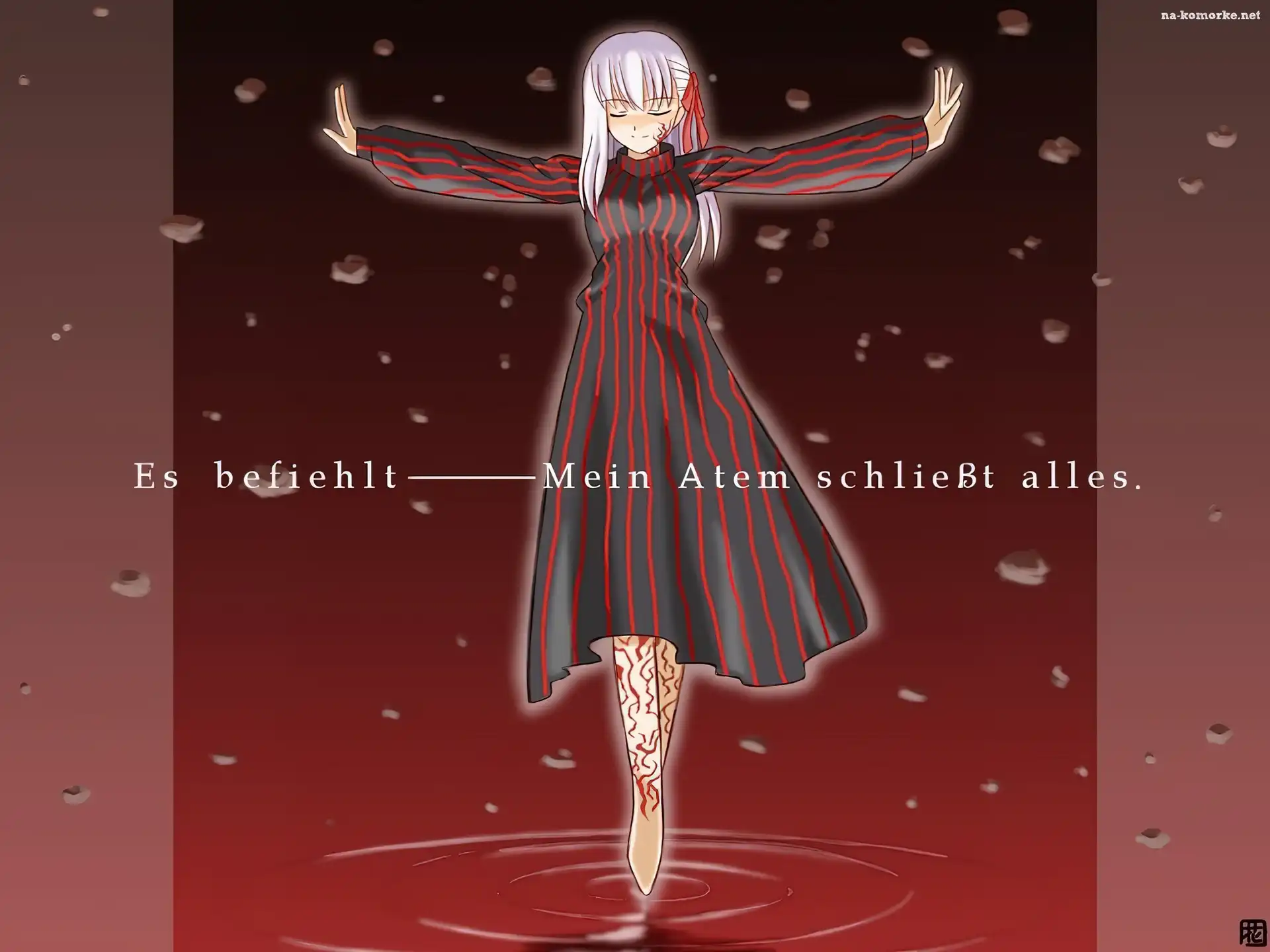 napis, kobieta, Fate Stay Night