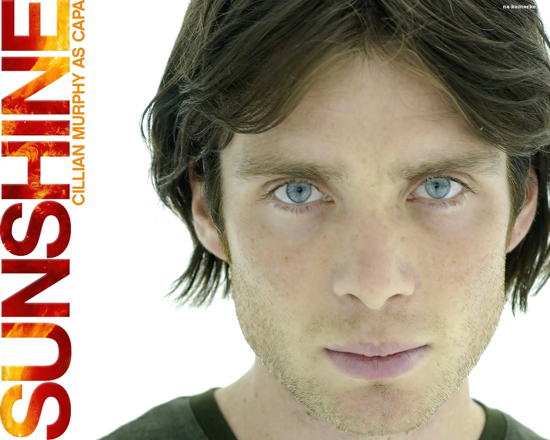 napis, Sunshine, Cillian Murphy, twarz, oczy