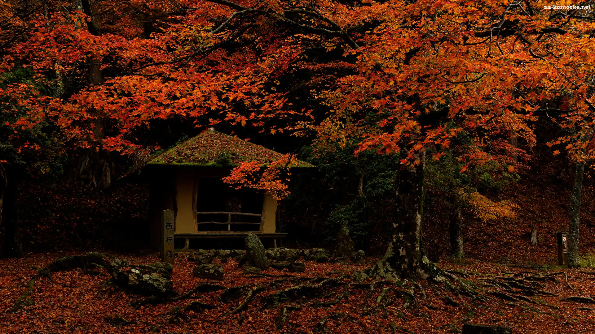 Jesień, Miejscowość Nara, Czerwonawe, Japonia, Drzewa, Liście, Altana, Park w Nara