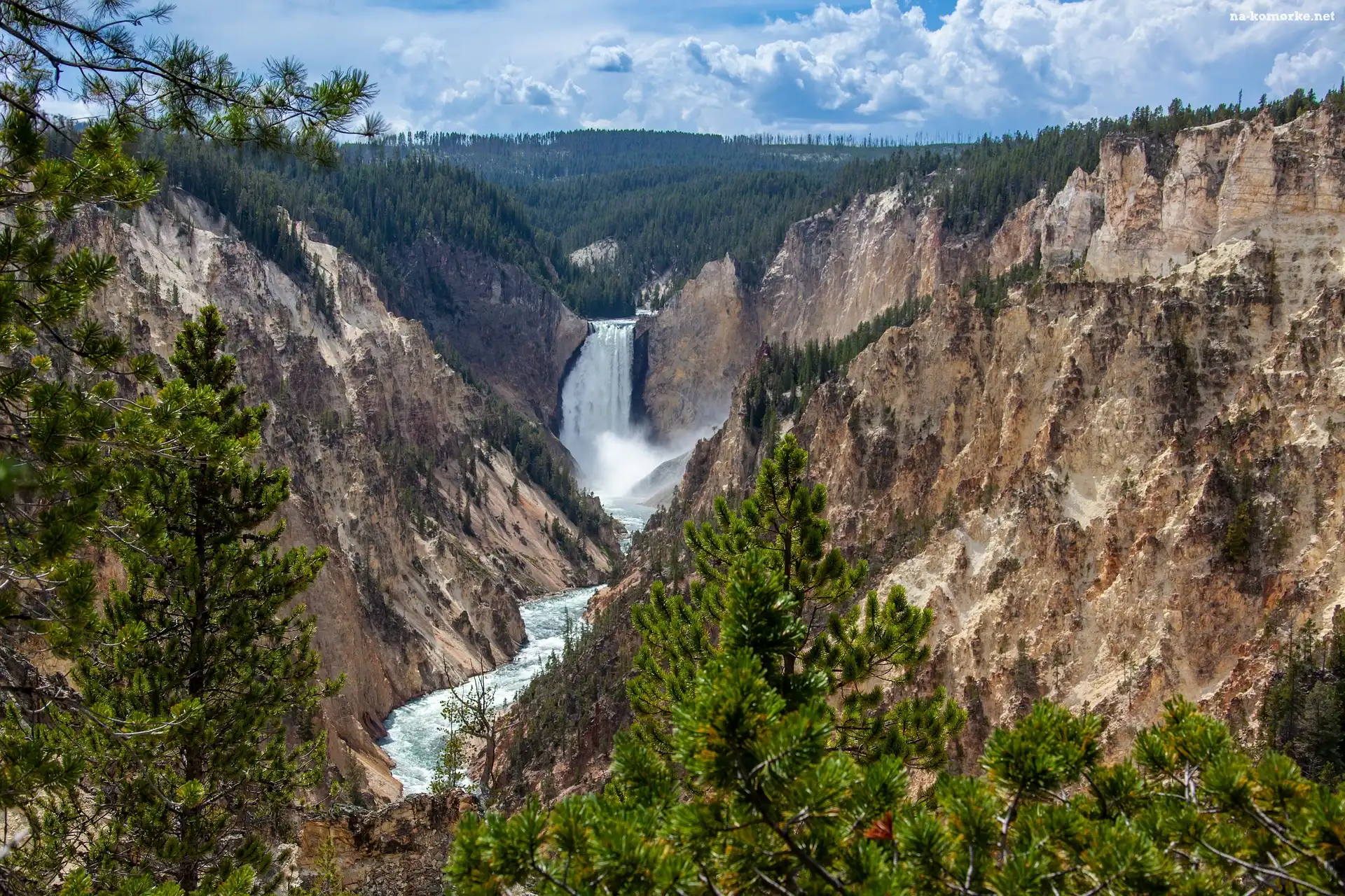 Stan Wyoming, Drzewa, Wodospad, Park Narodowy Yellowstone, Upper Yellowstone River Falls, Górny, Góry, Rzeka Yellowstone, Drzewa, Stany Zjednoczone