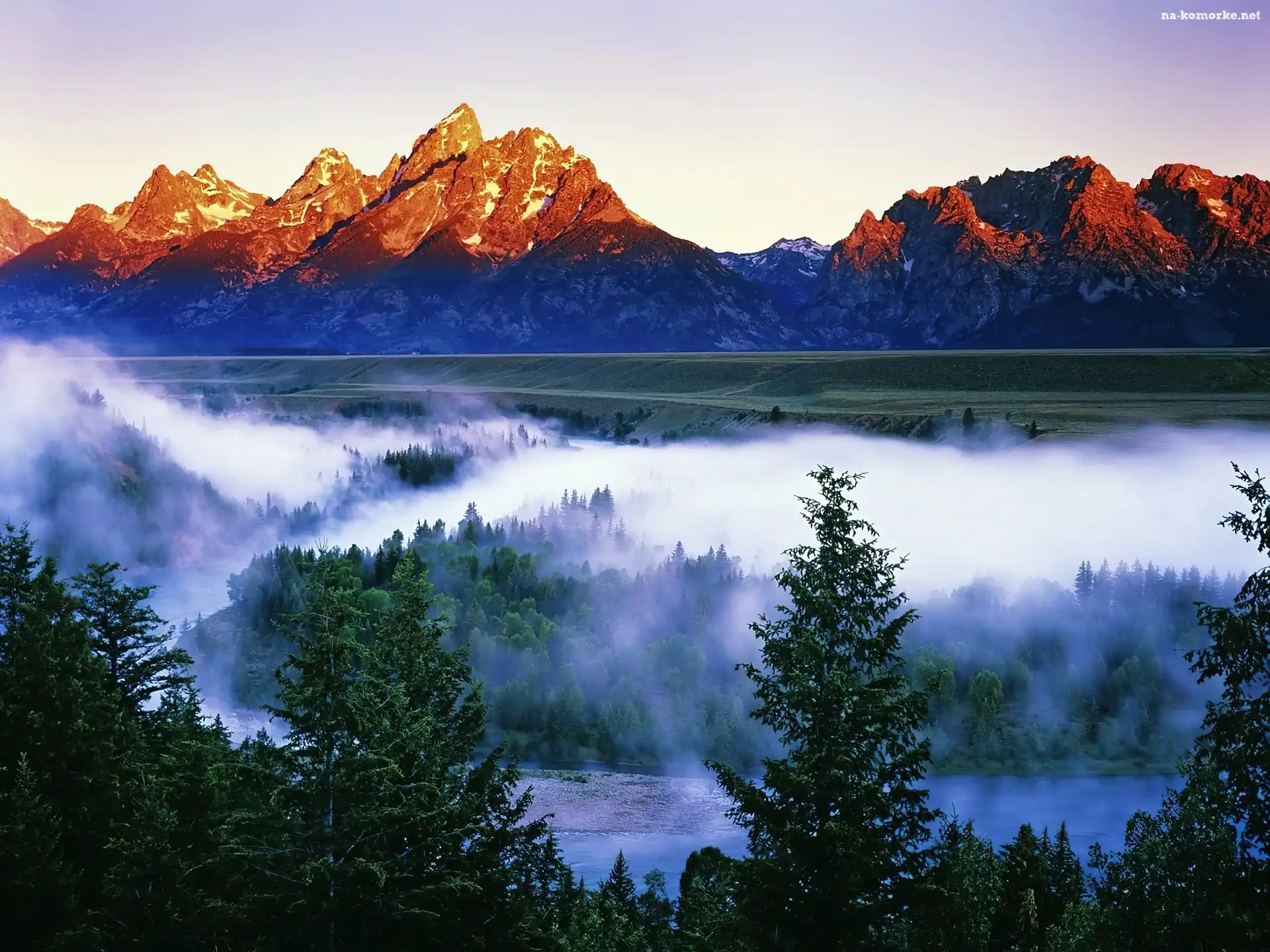 Góry, Narodowy, Park, Las, Grand Teton, Mgła