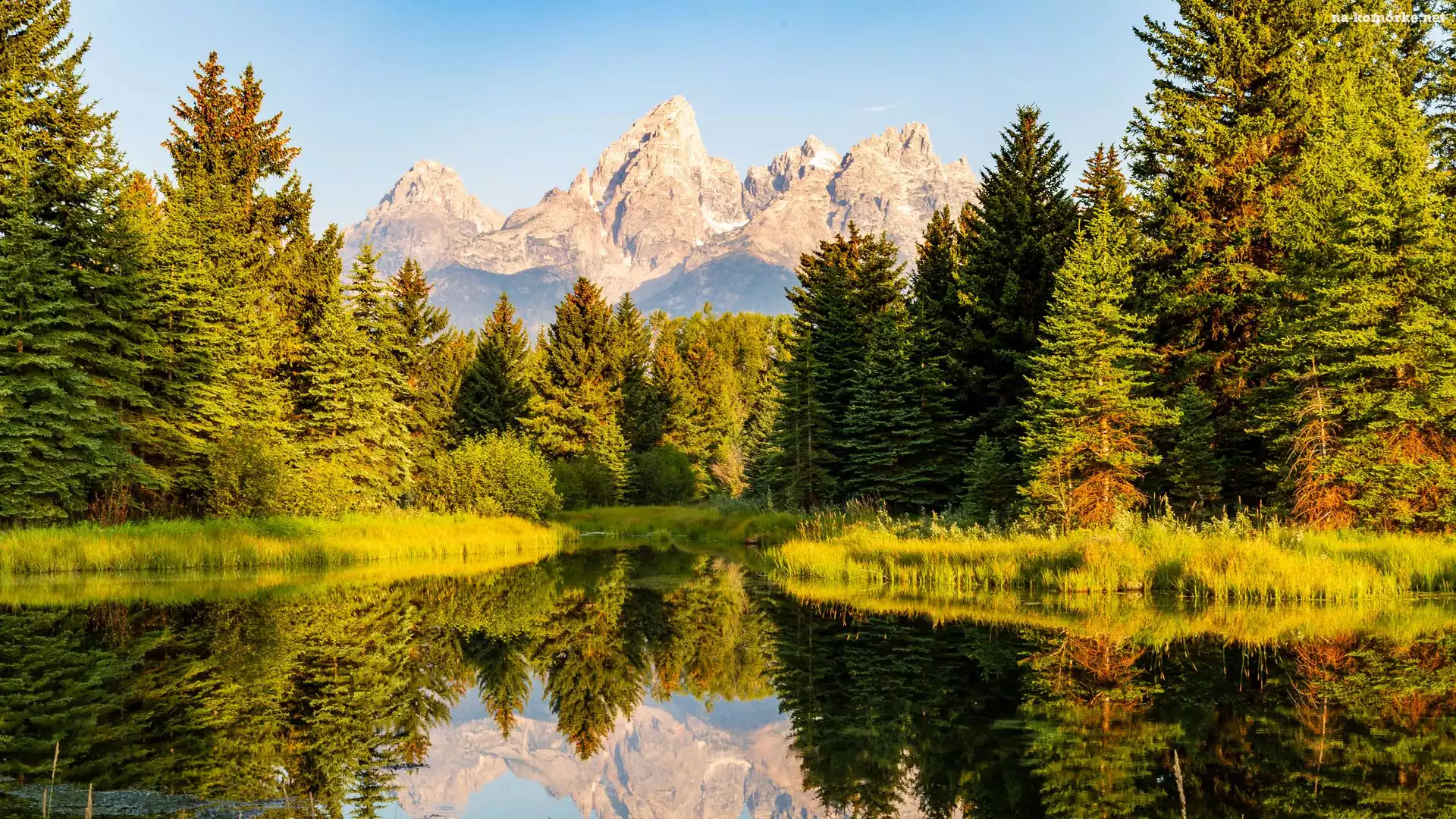 Drzewa, Rzeka, Stany Zjednoczone, Odbicie, Park Narodowy Grand Teton, Góry, Wyoming