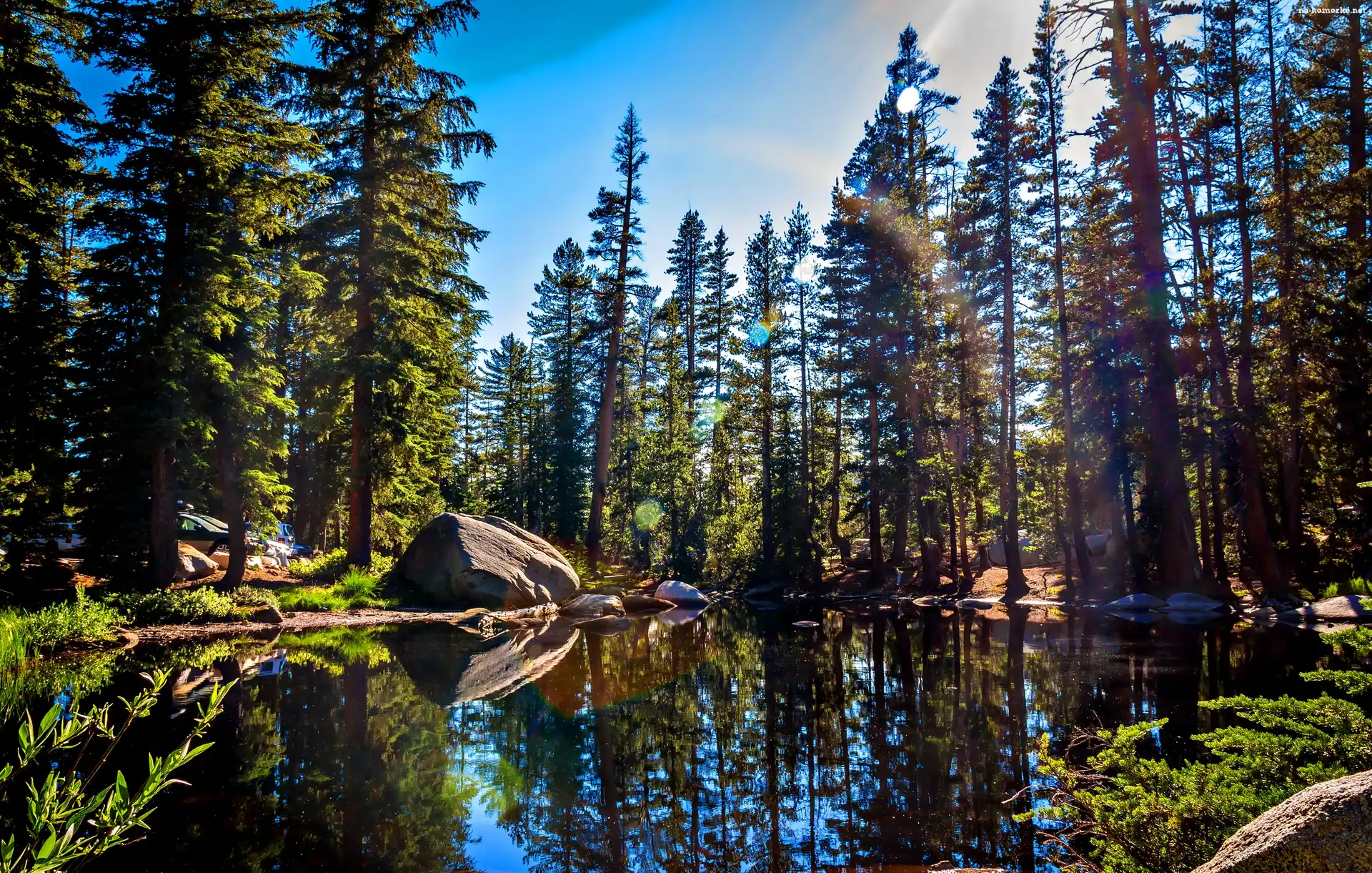 Park Narodowy Yosemite, Jezioro, Las, USA, Kamienie, Kalifornia