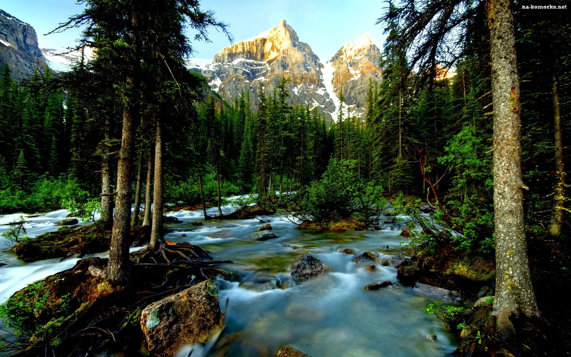 Park Narodowy Banff, Kanada, Góry, Las, Rzeka