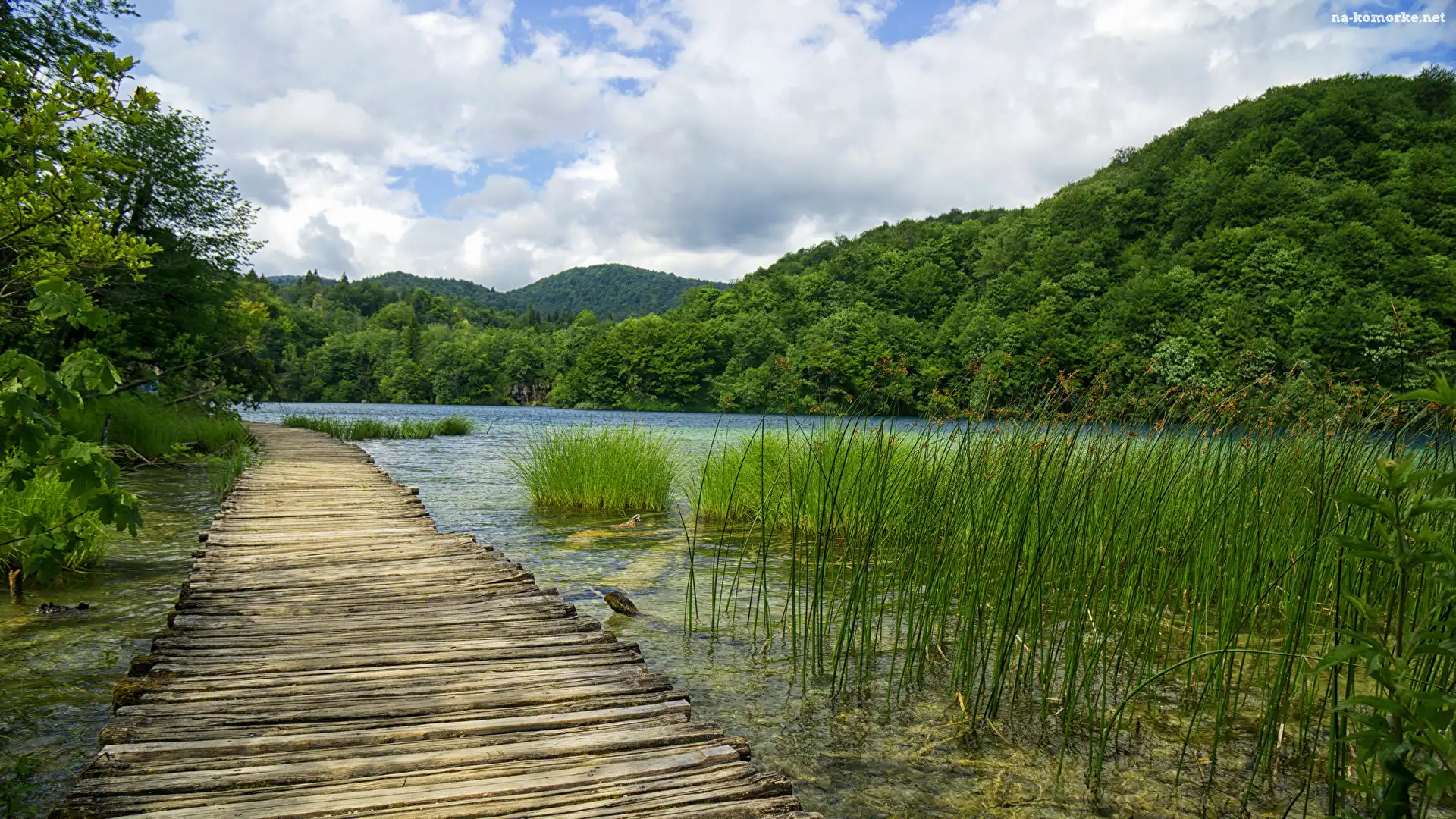 Wzgórze, Park Narodowy Jezior Plitwickich, Drzewa, Chorwacja, Lasy, Trawa, Jezioro, Pomost