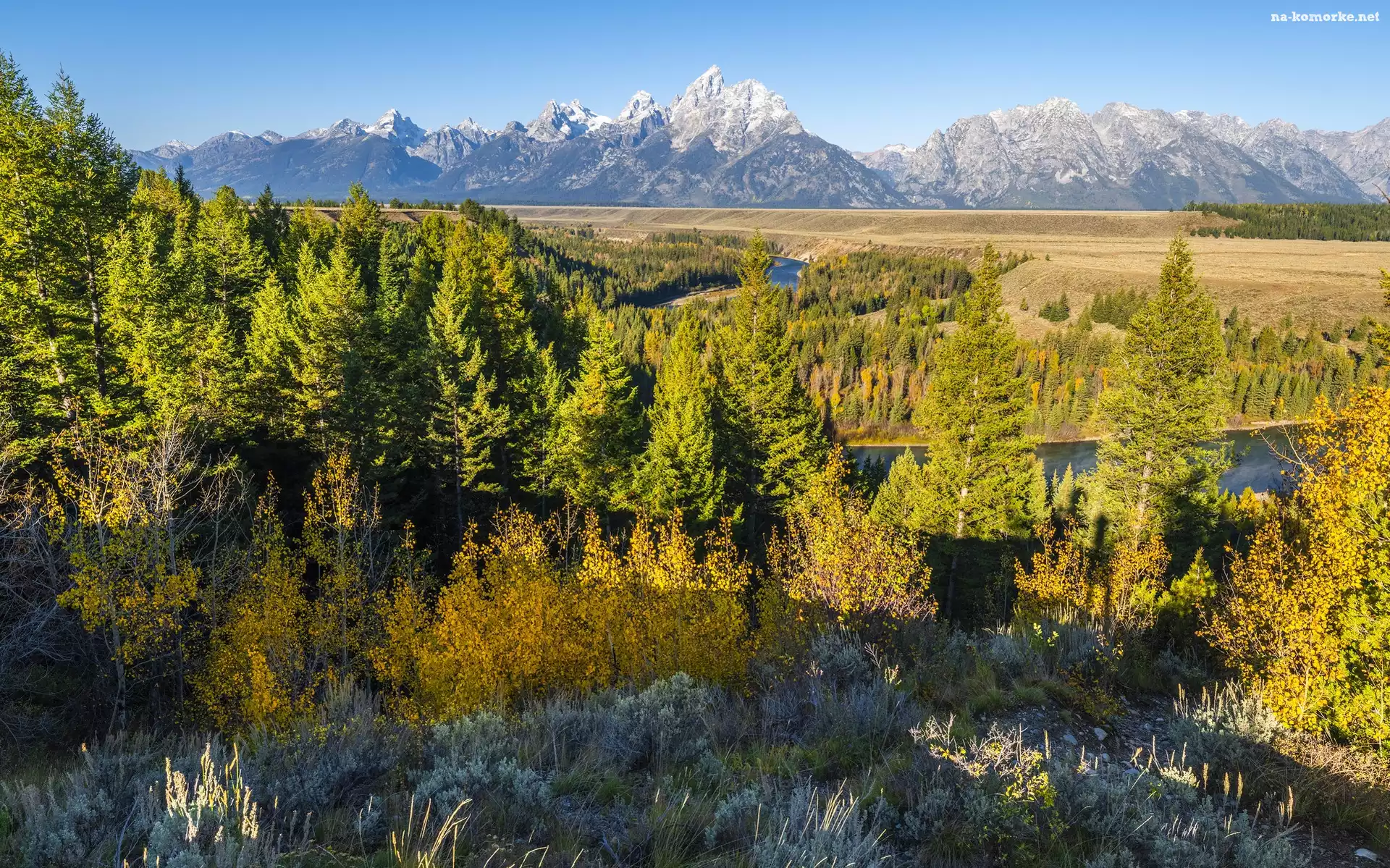 Teton Range, Stan Wyoming, Drzewa, Park Narodowy Grand Teton, Rzeka Snake River, Stany Zjednoczone, Las, Góry