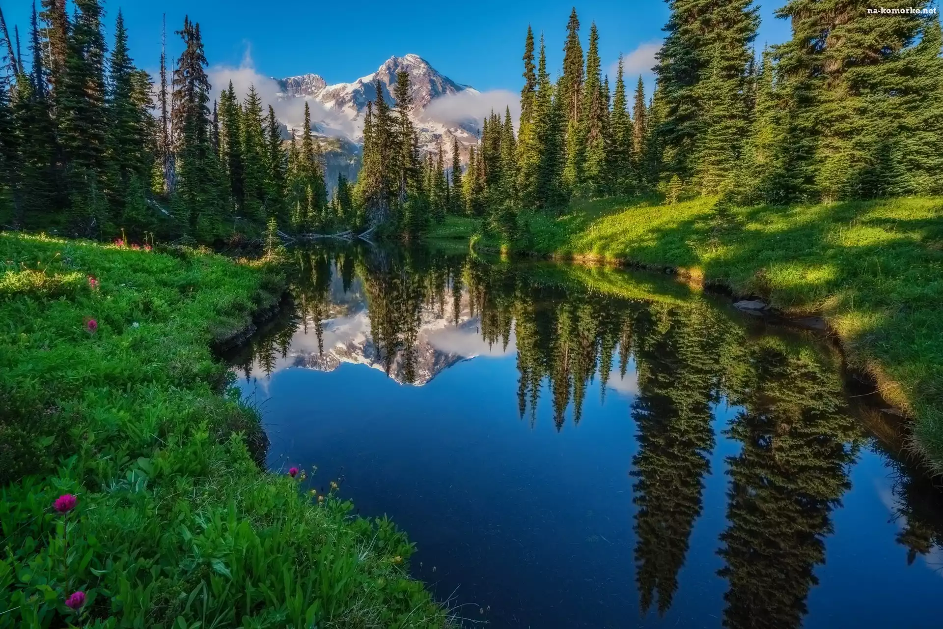 Stany Zjednoczone, Góry, Park Narodowy Mount Rainier, Odbicie, Stan Waszyngton, Jezioro Las, Drzewa, Rzeka
