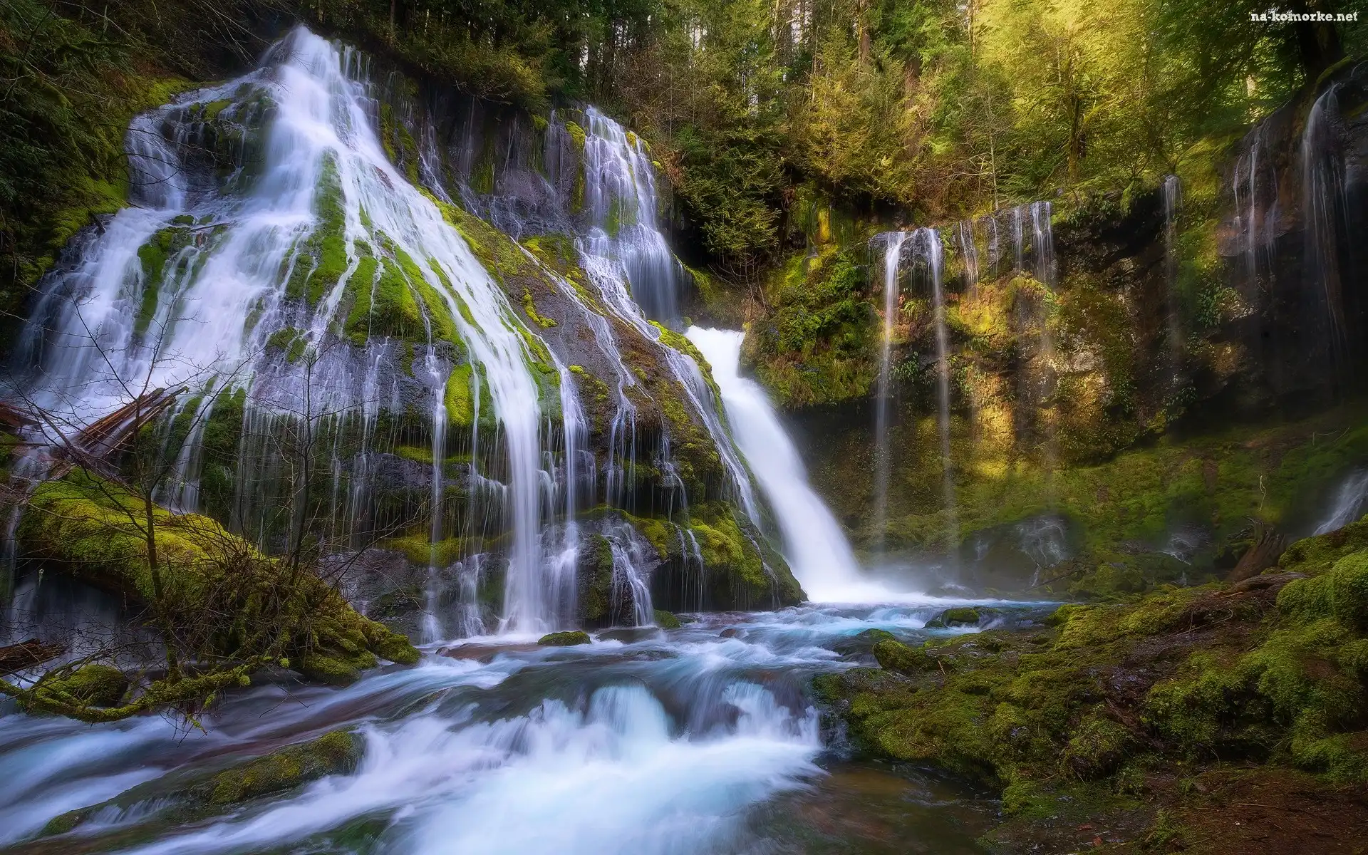 Wodospad, Panther Creek Falls, Stany Zjednoczone, Gifford Pinchot National Forest, Las, Drzewa, Stan Waszyngton