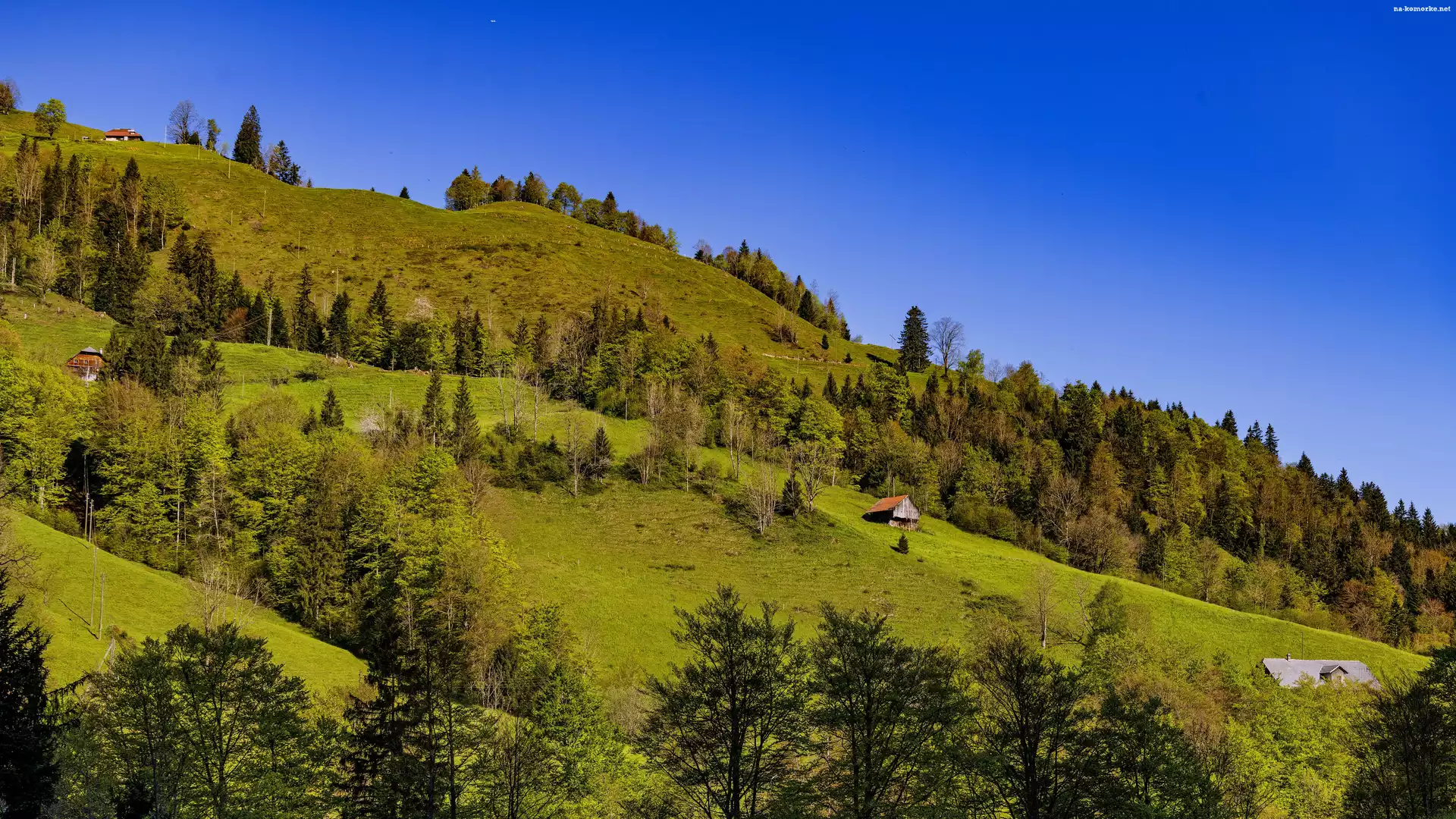 Niebo, Dom, Góry, Natura, Wzgórze, Drzewa