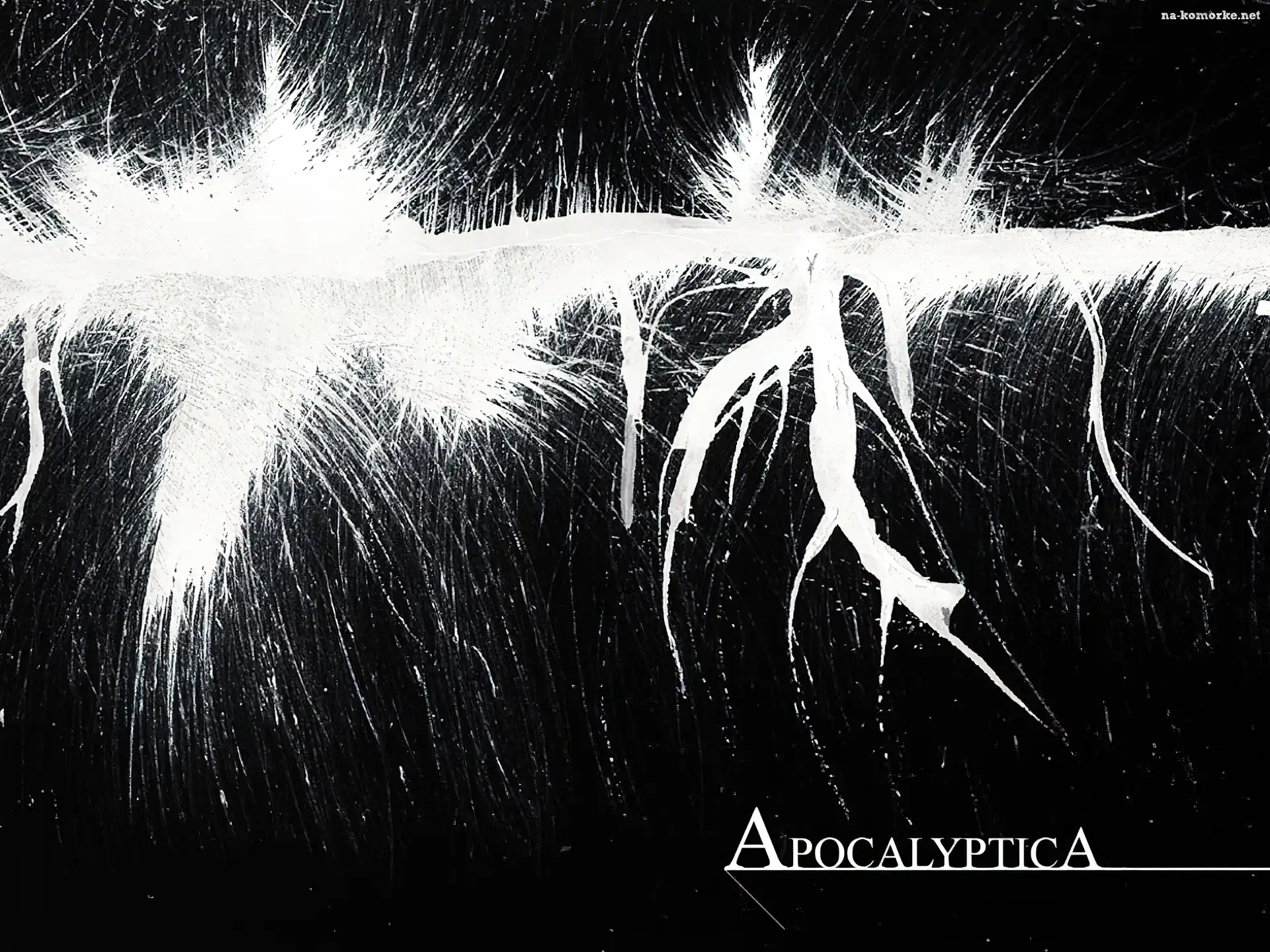Apocalyptica, nazwa zespołu