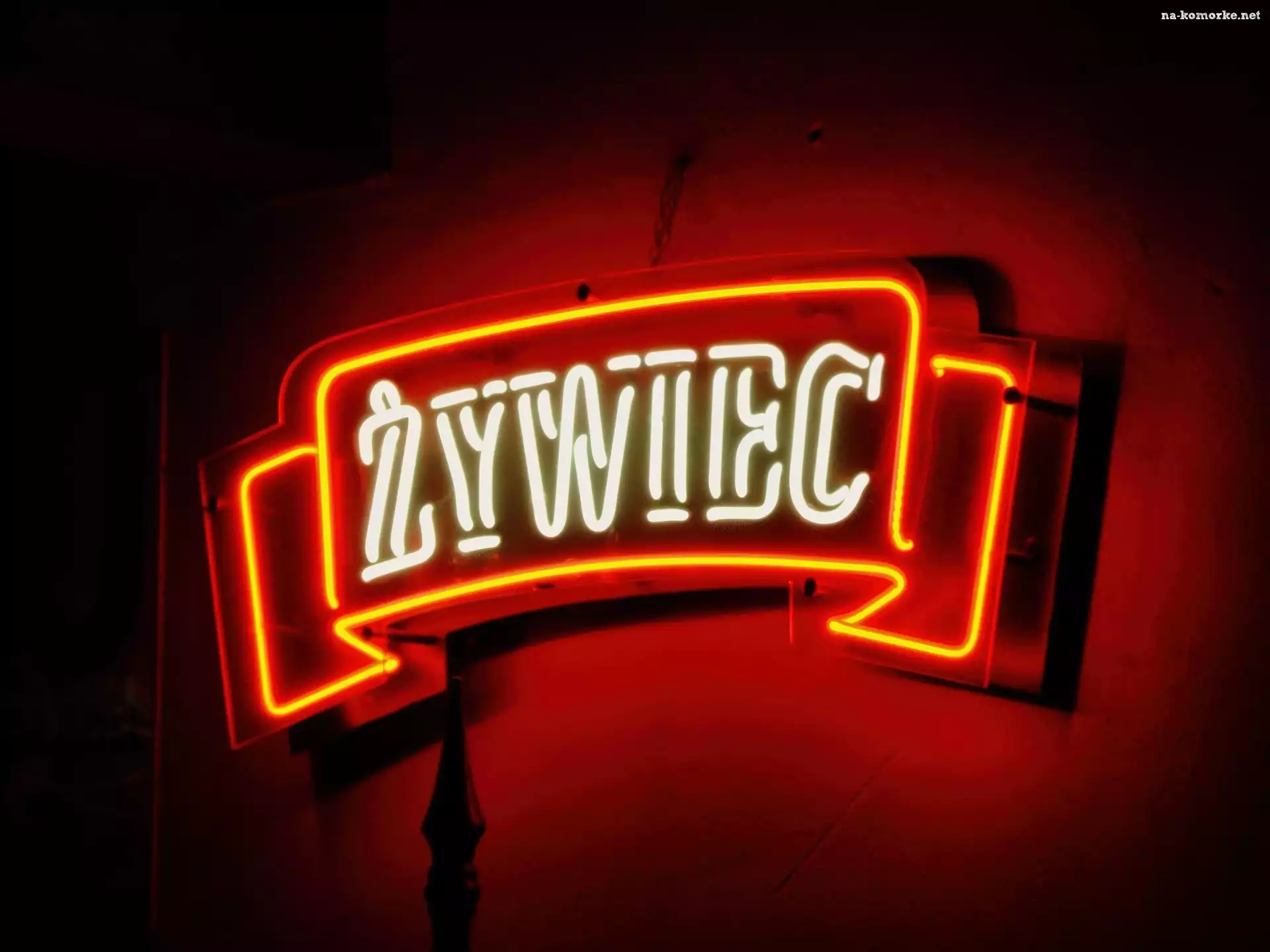 Neon, Żywiec