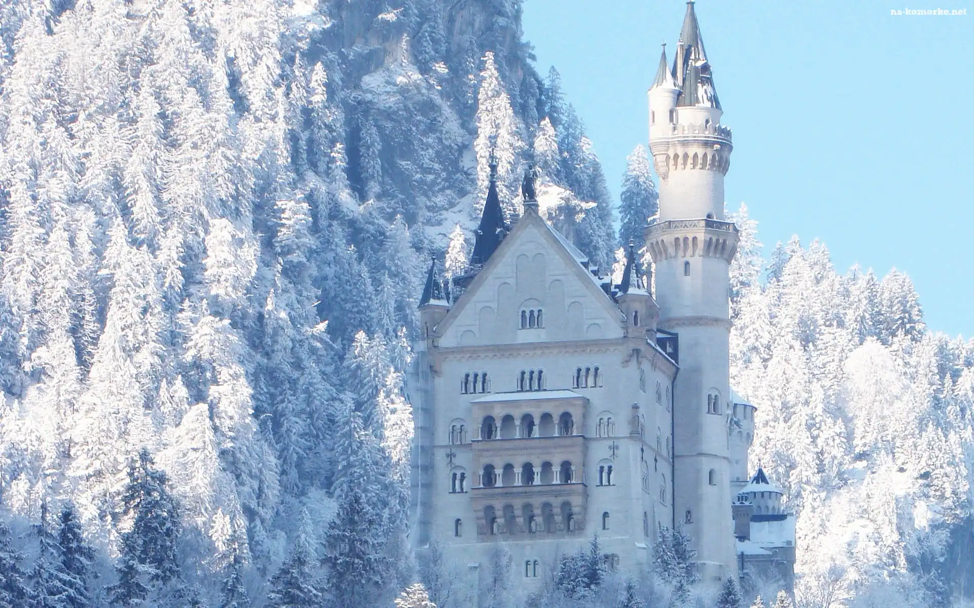 Zamek, Neuschwantein, Las