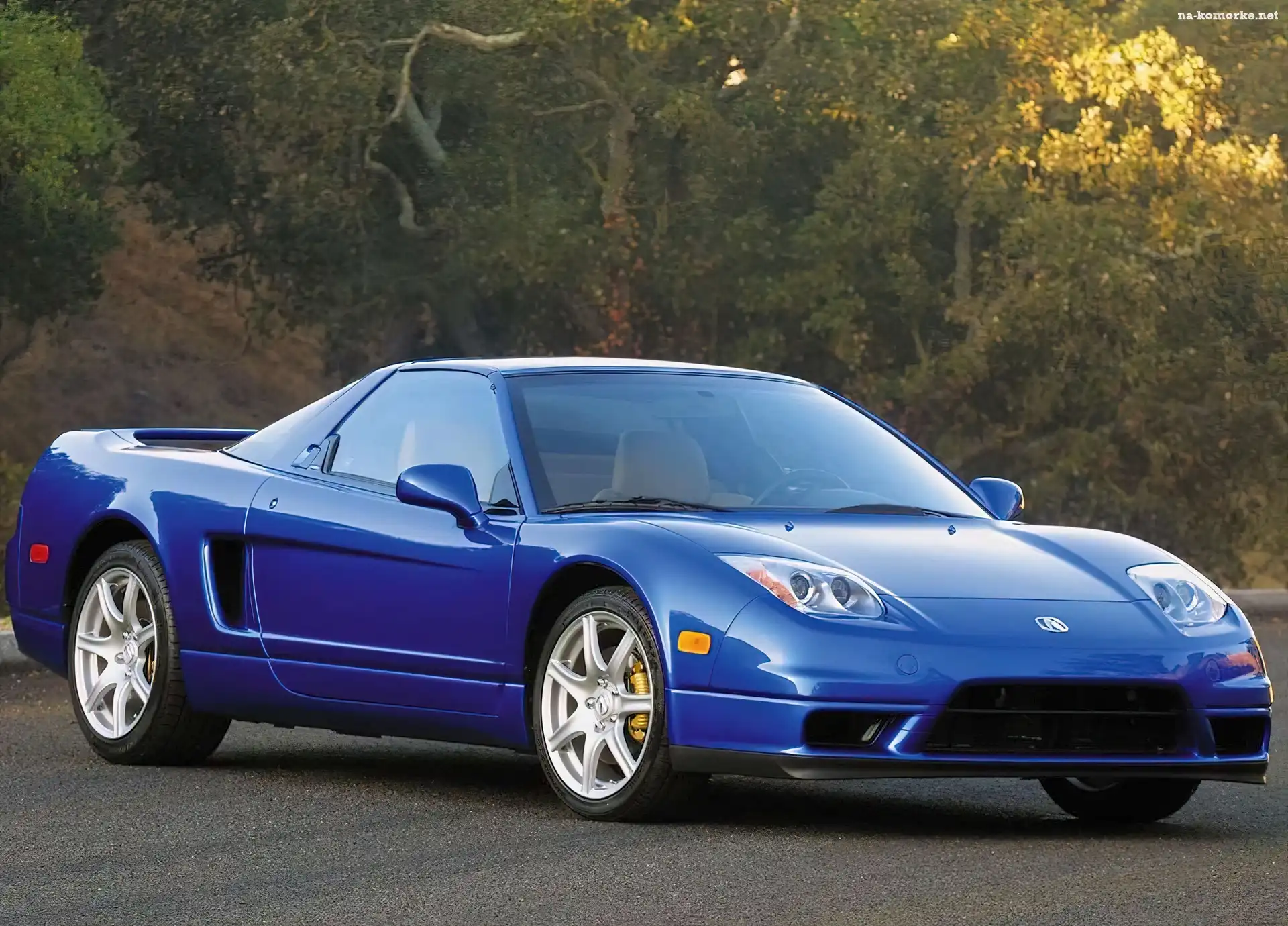 Niebieska, Spojler, Acura NSX