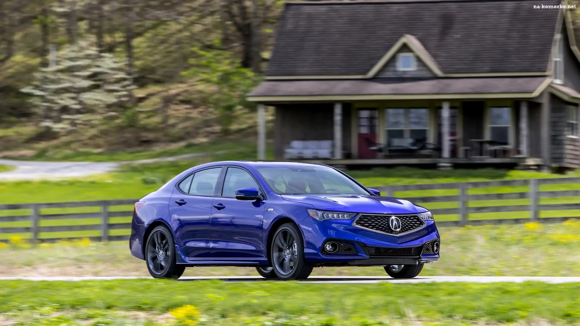 Niebieska, Ogrodzenie, Acura TLX, Dom