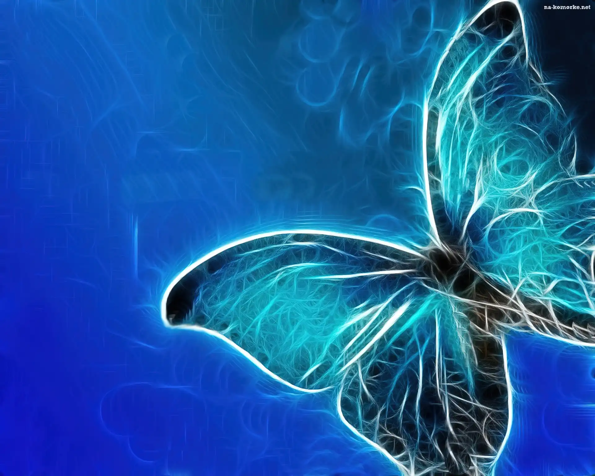 Motyl, Niebieski, Fraktal