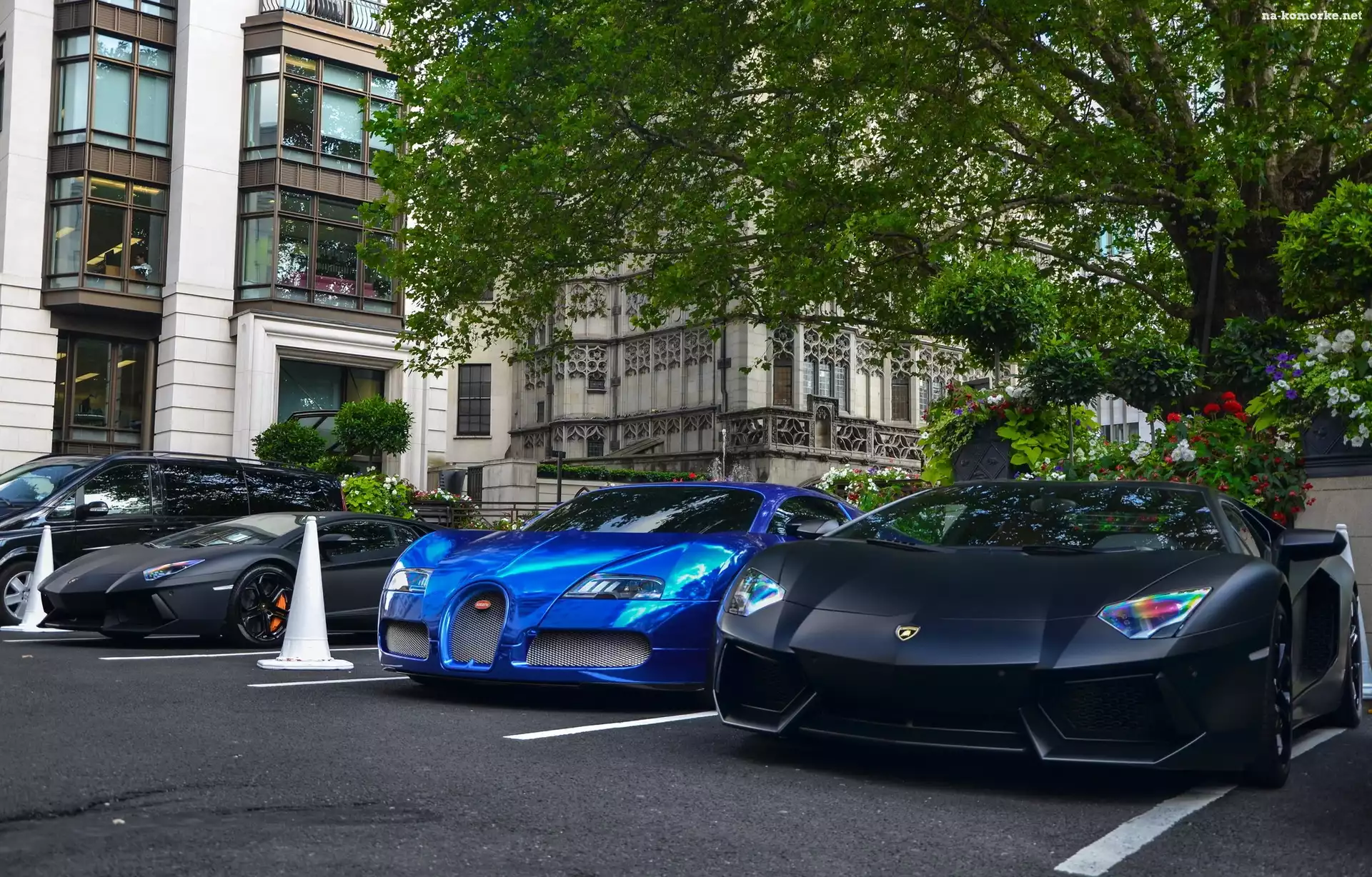 Niebieski, Lamborghini Aventador, Bugatti Veyron, Czarne