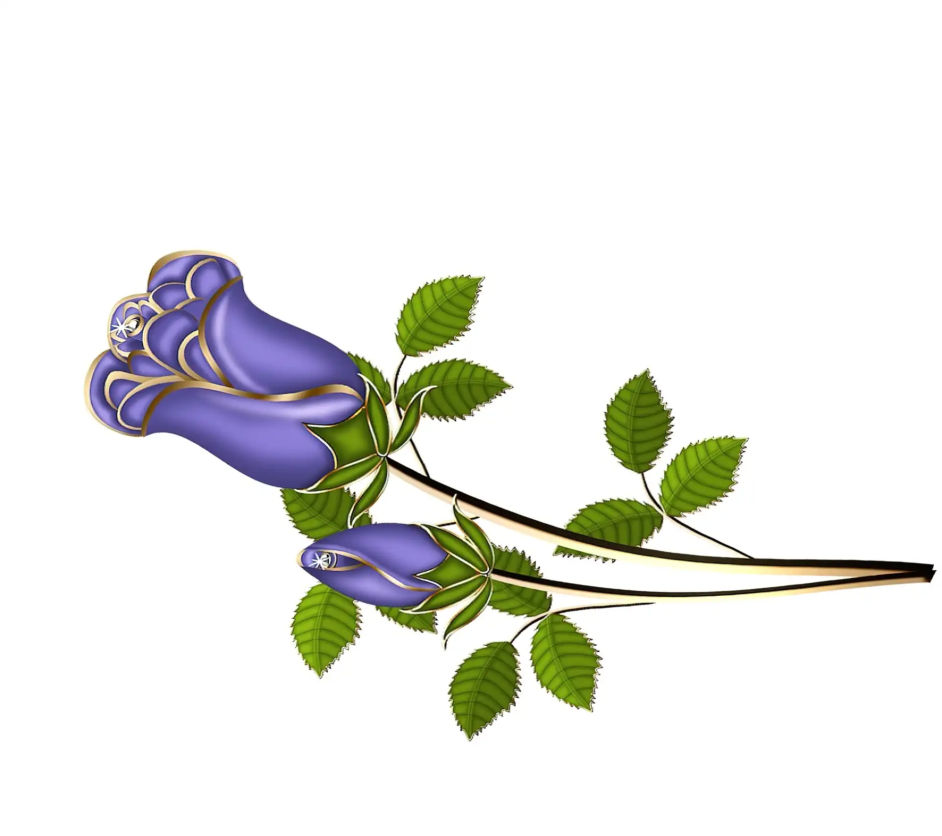 Niebieskie, Róże