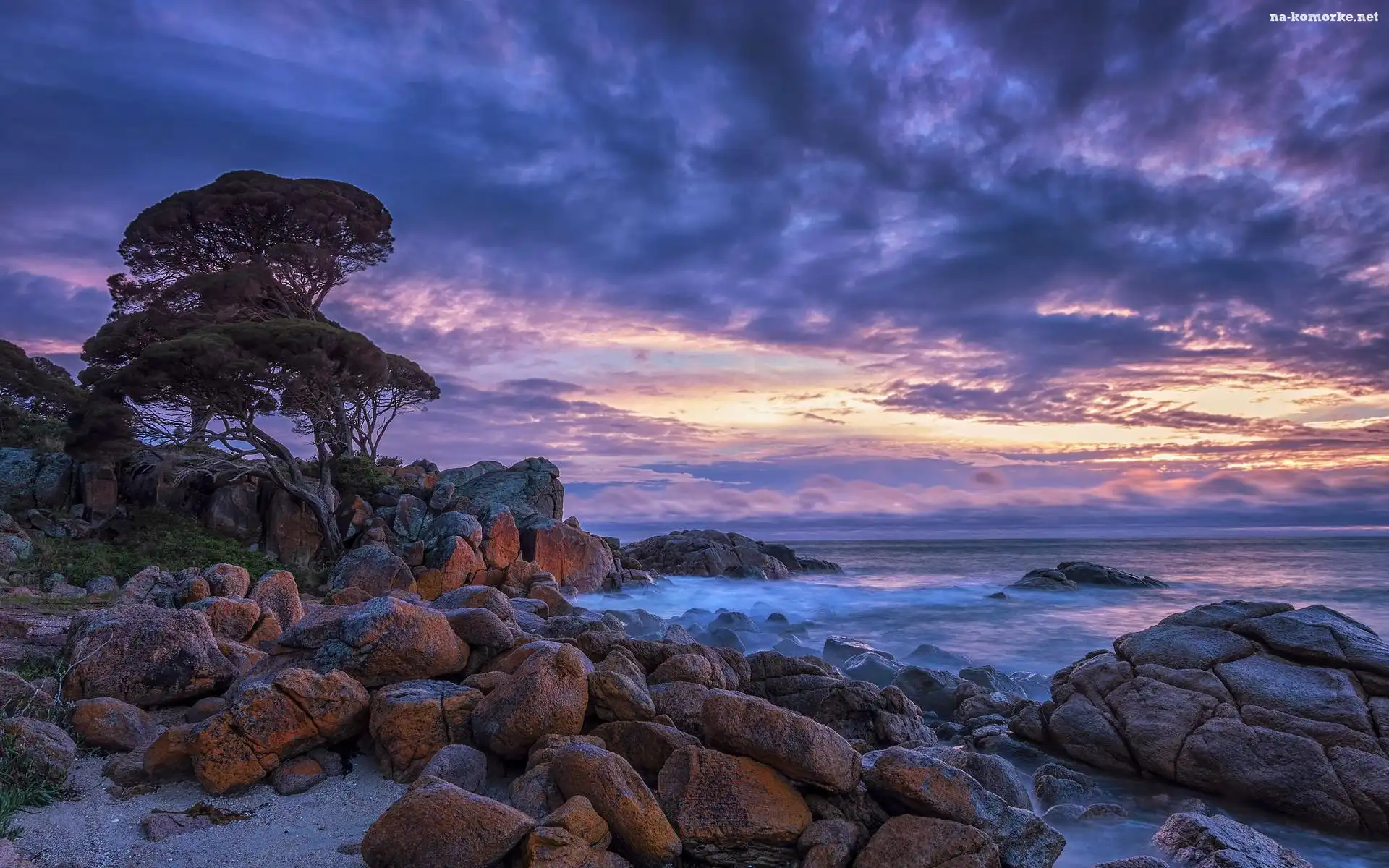 Skały, Wybrzeże, Drzewa, Kamienie, Australia, Shelley Cove, Chmury, Morze, Niebo