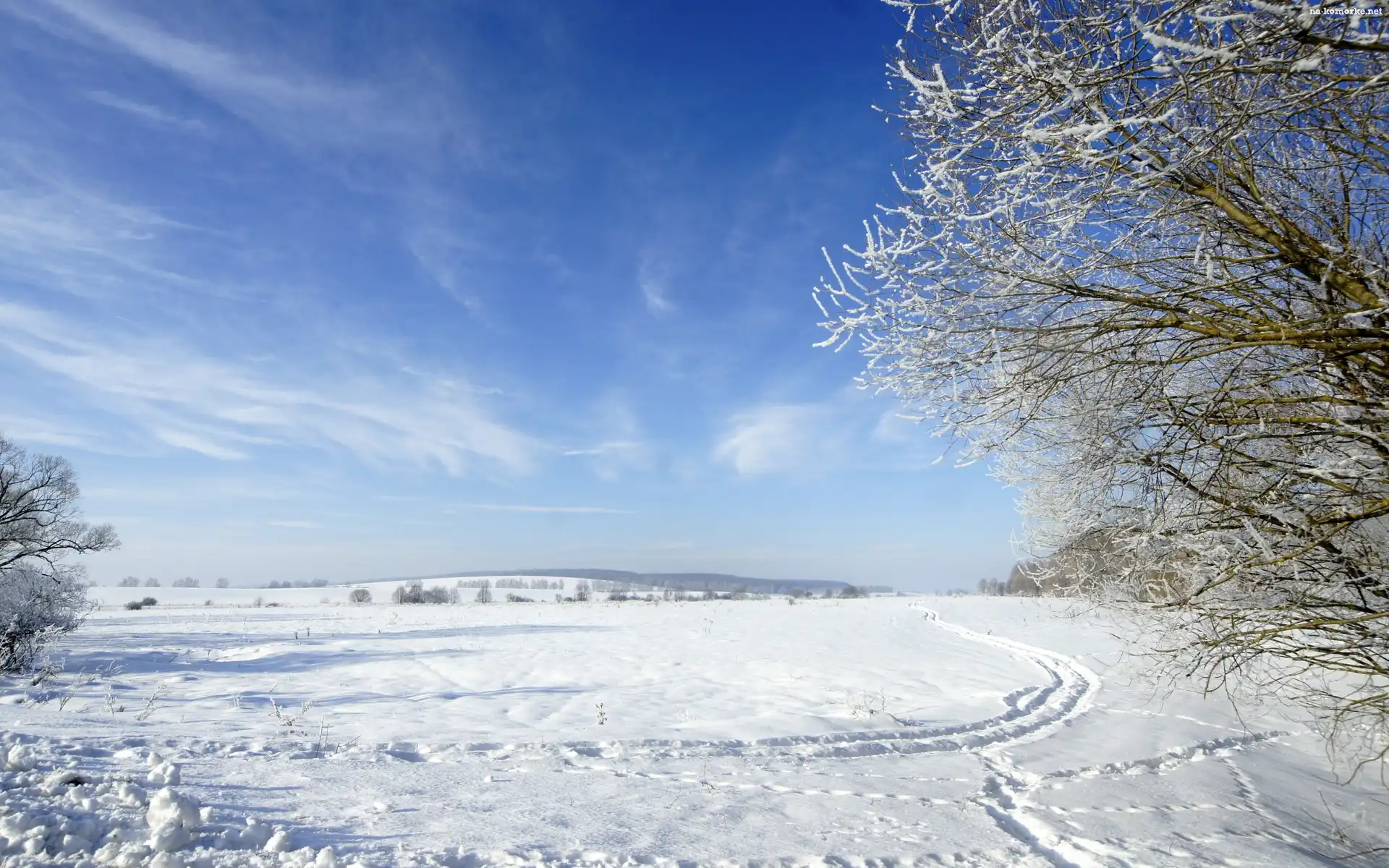 Niebo, Zima, Drzewo, Śnieg