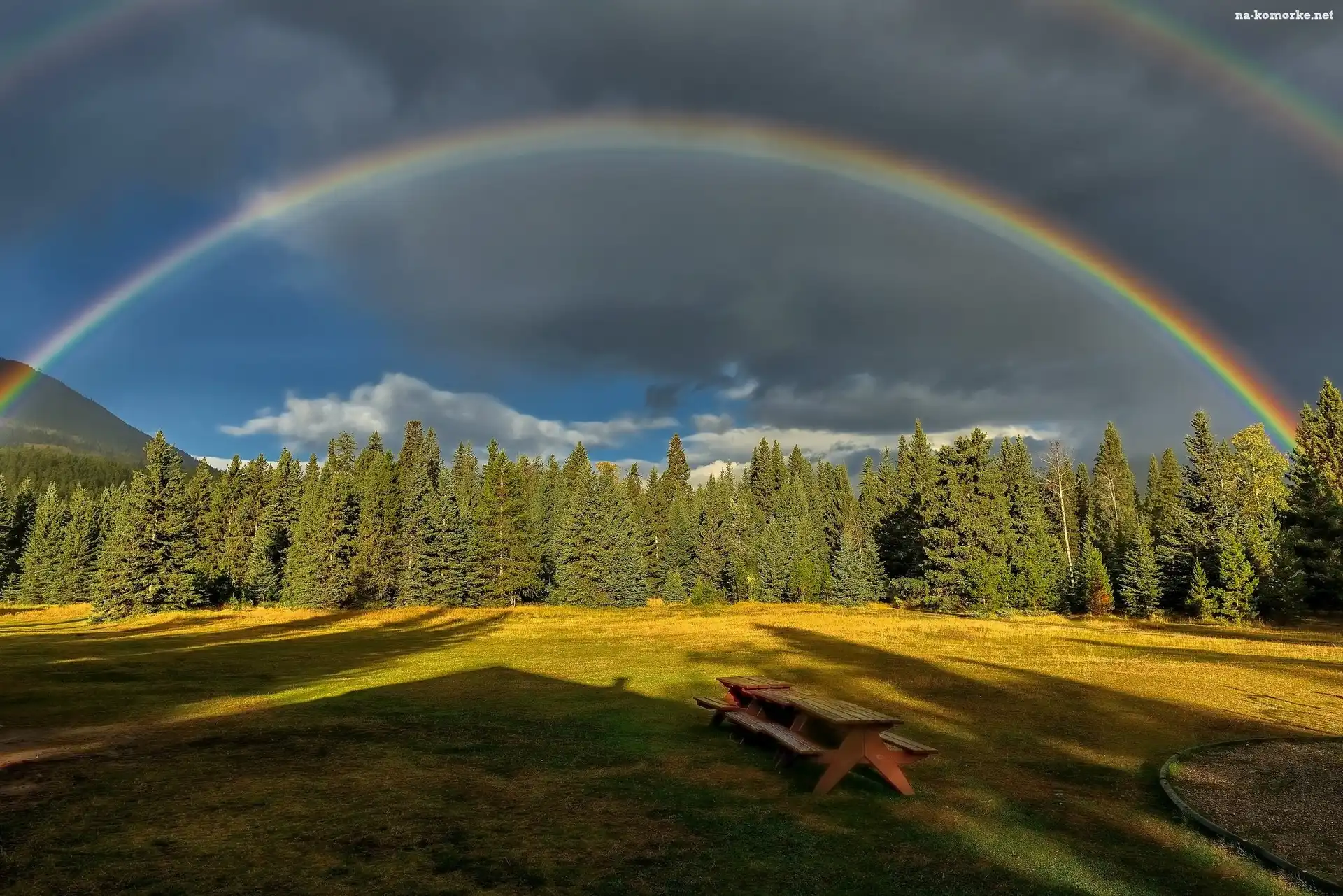 Niebo, Ławka, Tęcza, Las