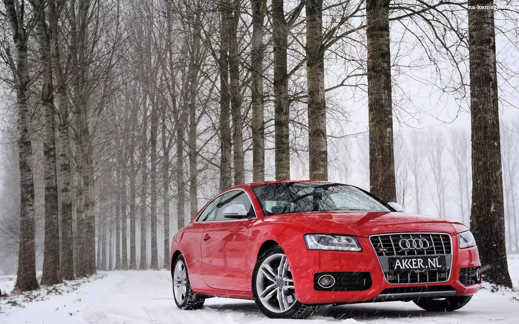 Åšnieg, Czerwone, Audi S5, Las, Droga