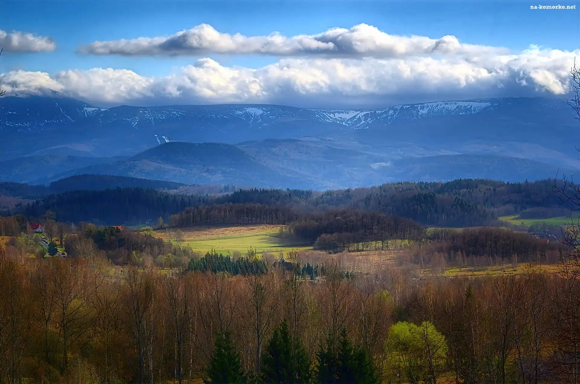 Śnieg, Chmury, Góry, Drzewa, Szczyty, Las