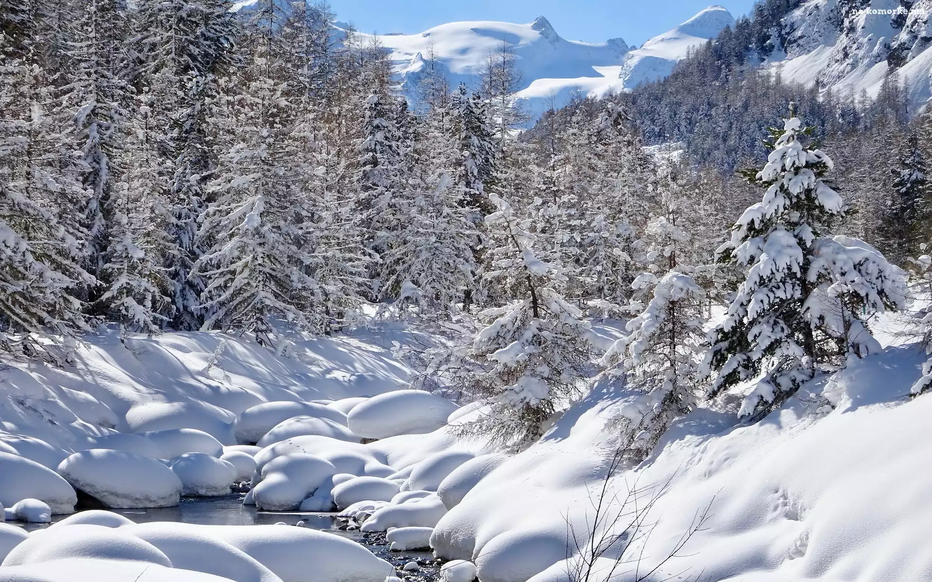 Szwajcaria, Drzewa, Pontresina, Las, Kanton Gryzonia, Zima, Potok, Śnieg
