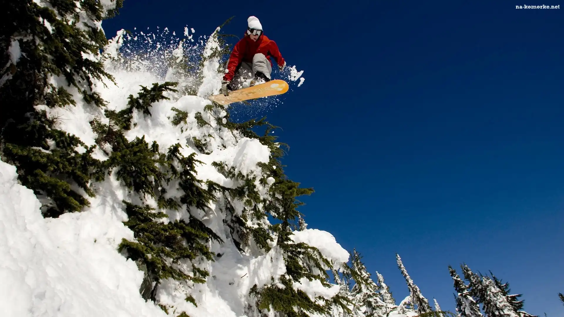 Snowboardzista, Åšnieg, Choinki