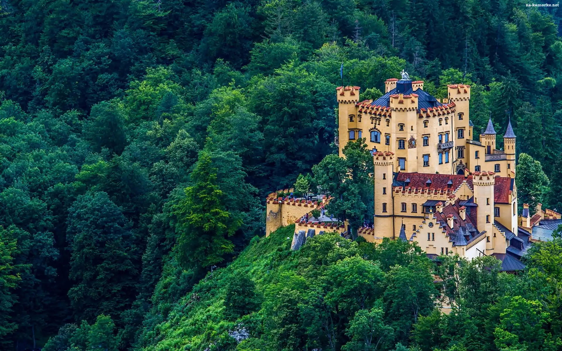 Niemcy, Zamek, Hohenschwangau, Góry, Las