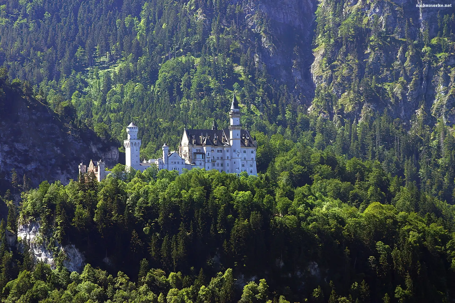 Niemcy, Zamek, Neuschwanstein, Lasy, Góry