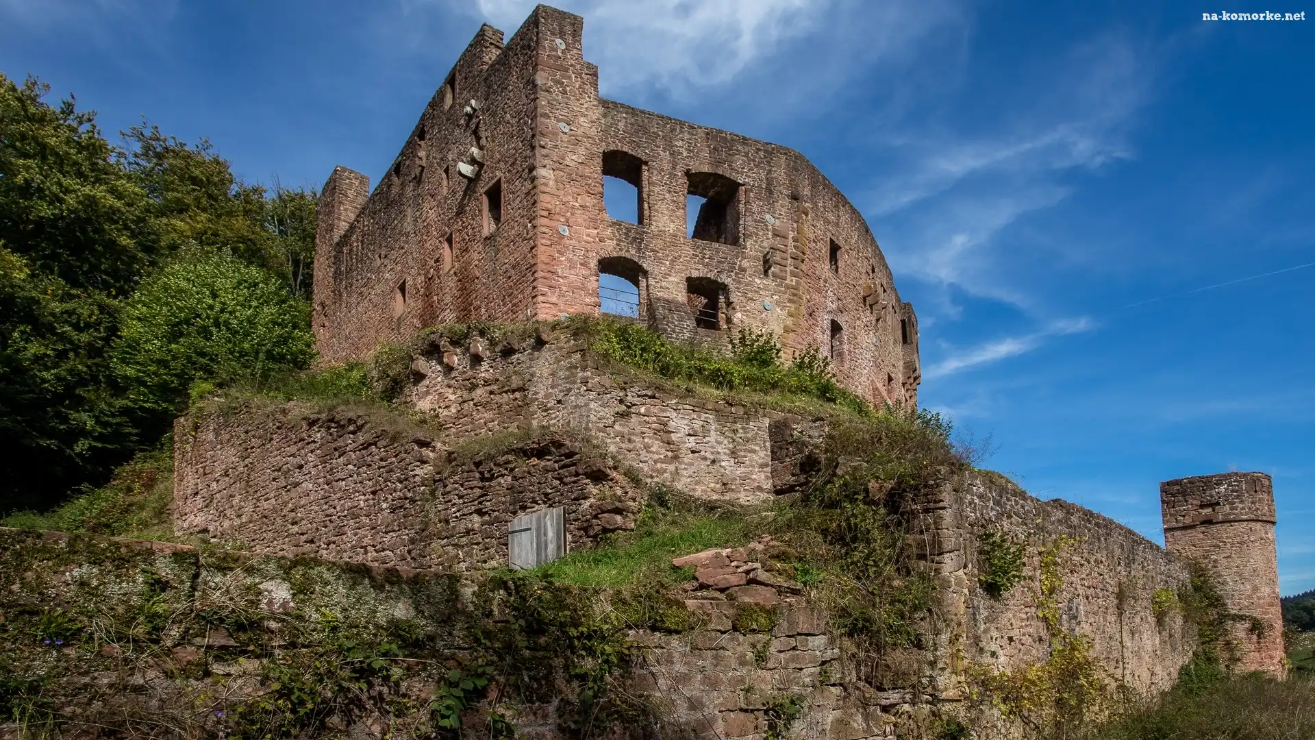 Oberzent, Ruiny, Trawa, Niemcy, Krzewy, Burg Freienstein