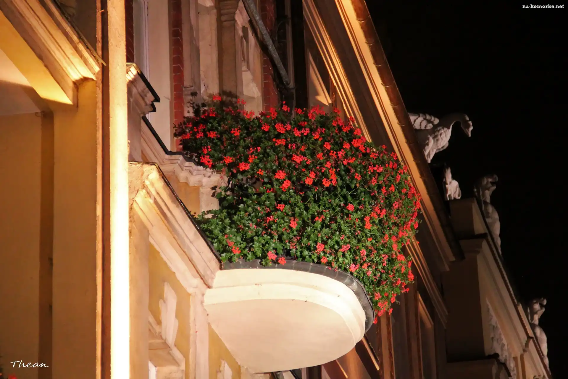 Noc, Balkon, Ukwiecony, Starówka, Budynki, Poznań