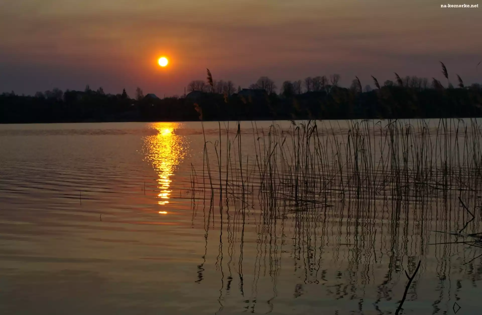 Jezioro, Noc, Księżyc