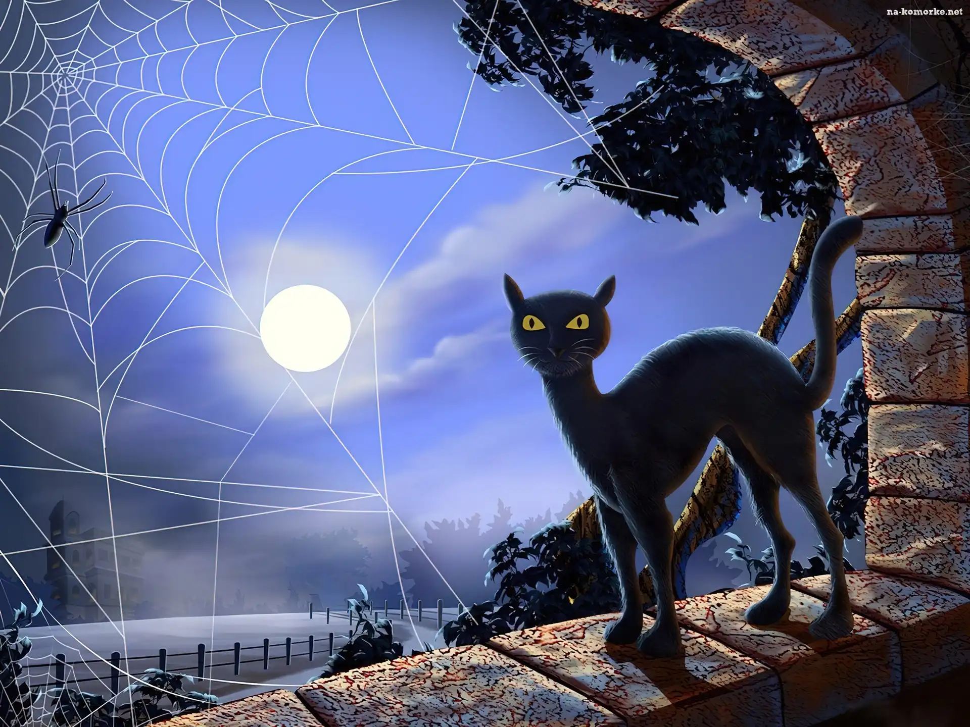 Kot, Noc, Księżyc