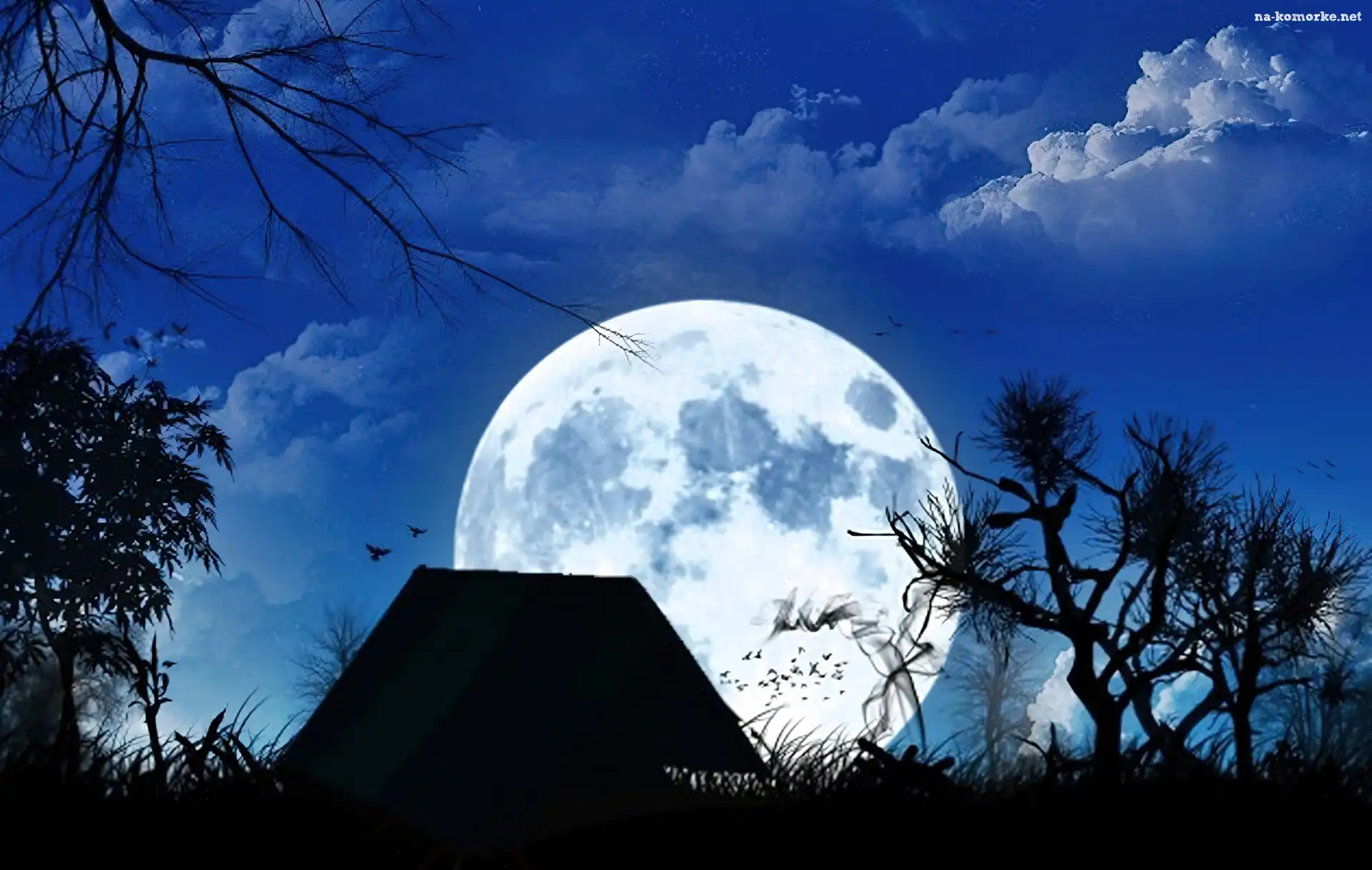Księżyc, Noc, Chata