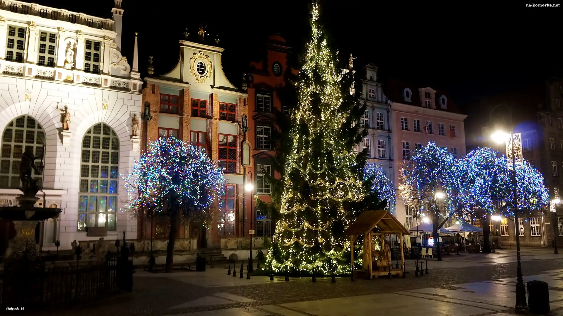 Choinka, Gdańsk, Polska, Drzewa, Noc, Świąteczne