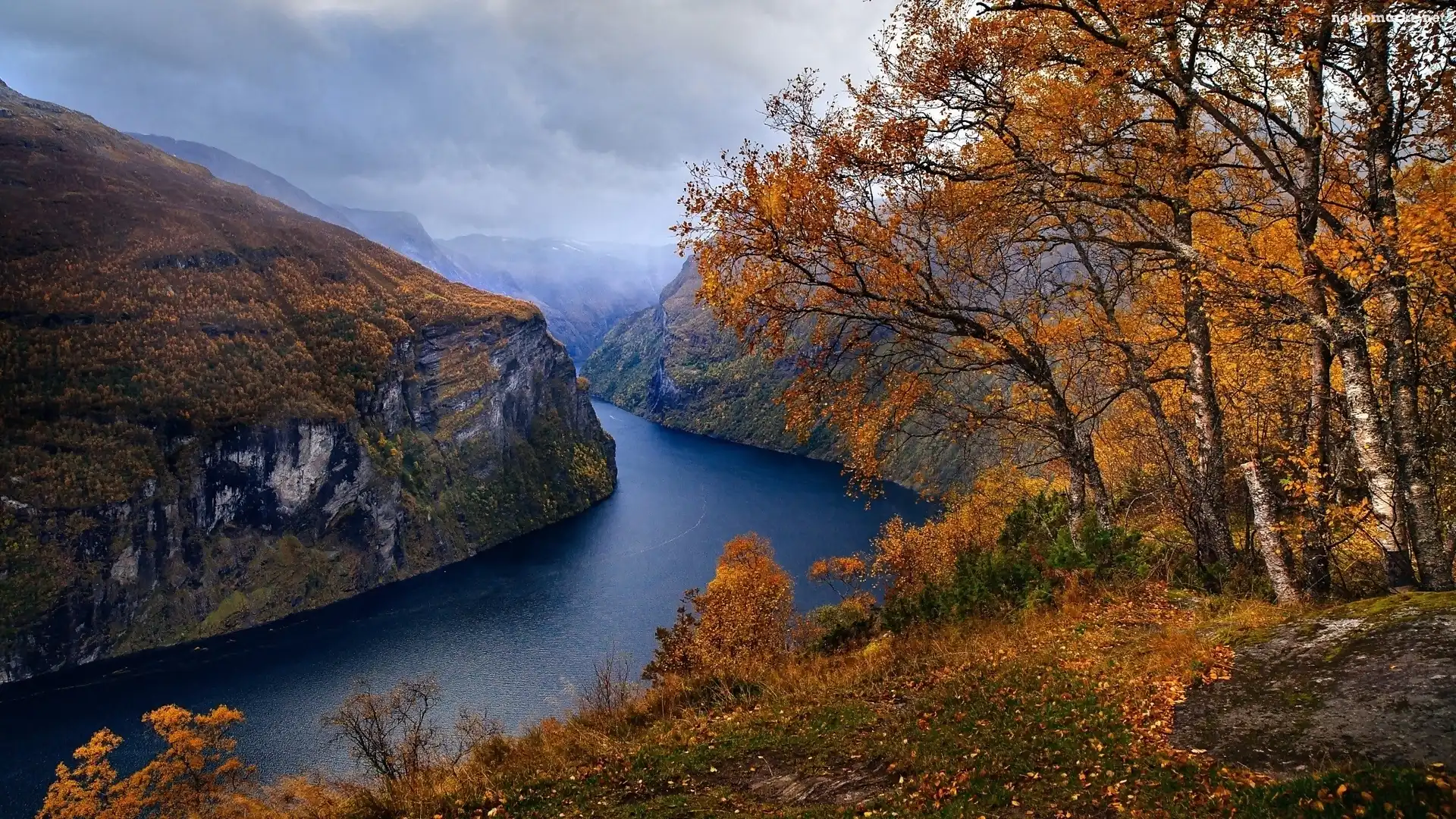 Norwegia, Góry, Fiord Geirangerfjorden, Jesień, Drzewa