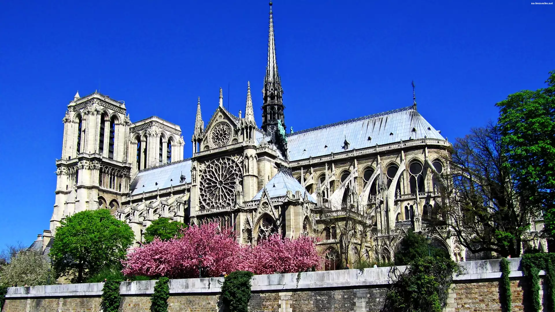 Katedra, Francja, Notre Dame, Paryż