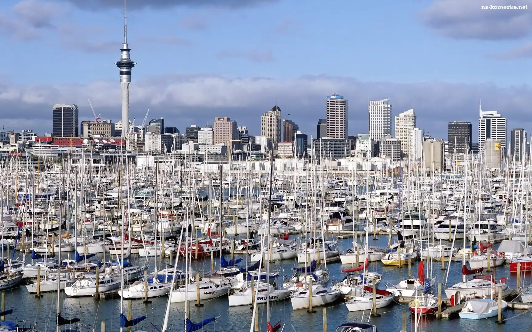 Nowa Zelandia, Jachty, Auckland, Miasto