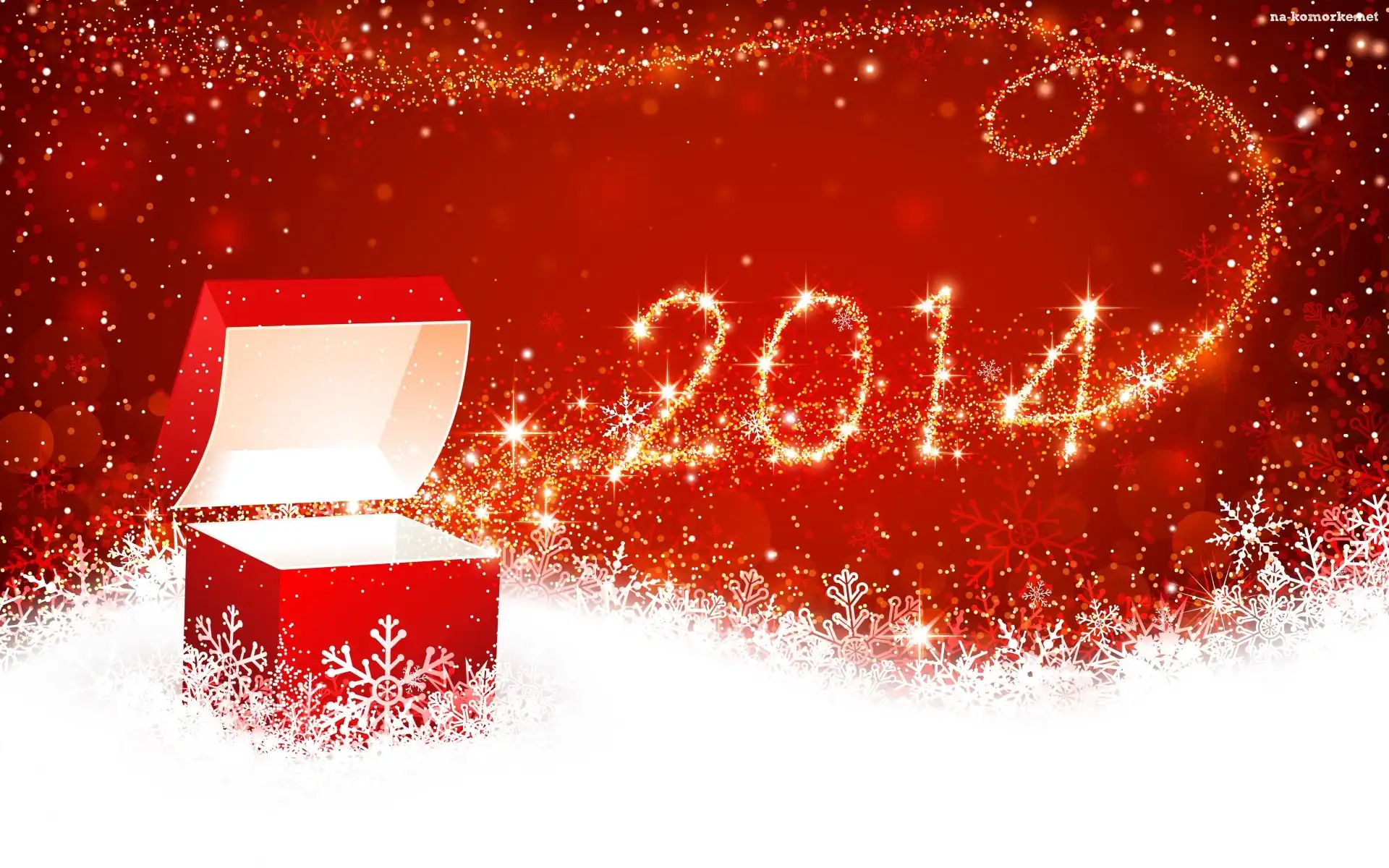 Nowy Rok 2014, Prezent
