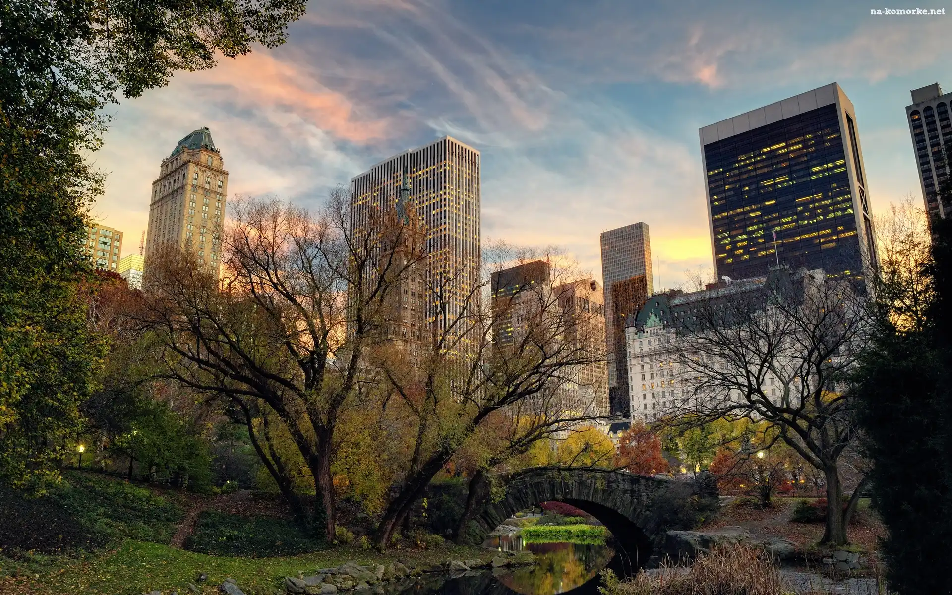 Wieżowce, Nowy, Most, Jork, Rzeka, Cedntral, Park, Manhattan