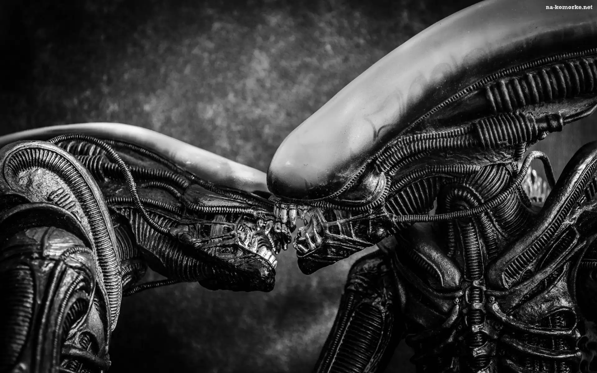 Obcy, Czarno-Białe, Aliens, Potwory