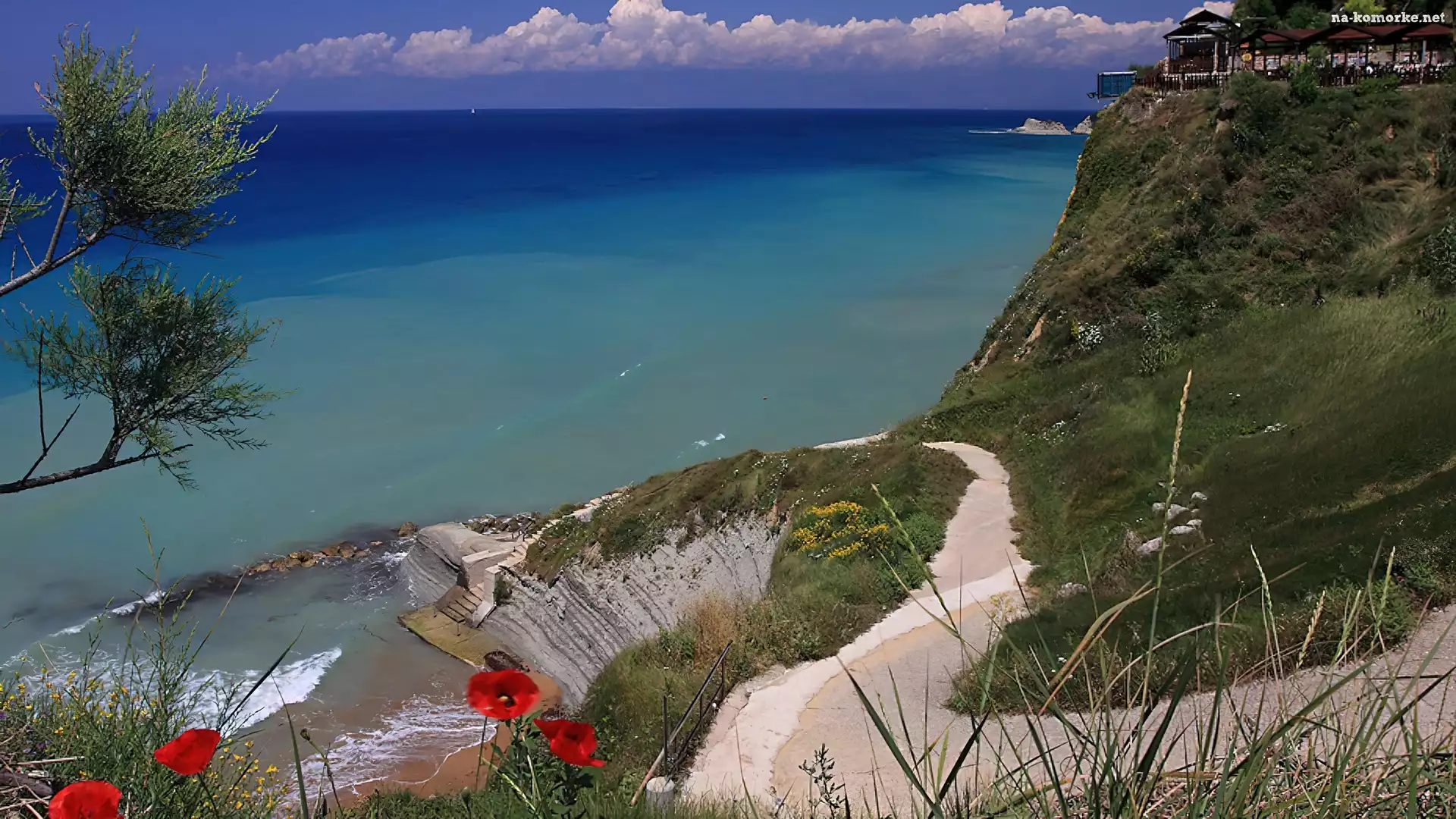 Ocean, Klif, Ścieżka, Maki