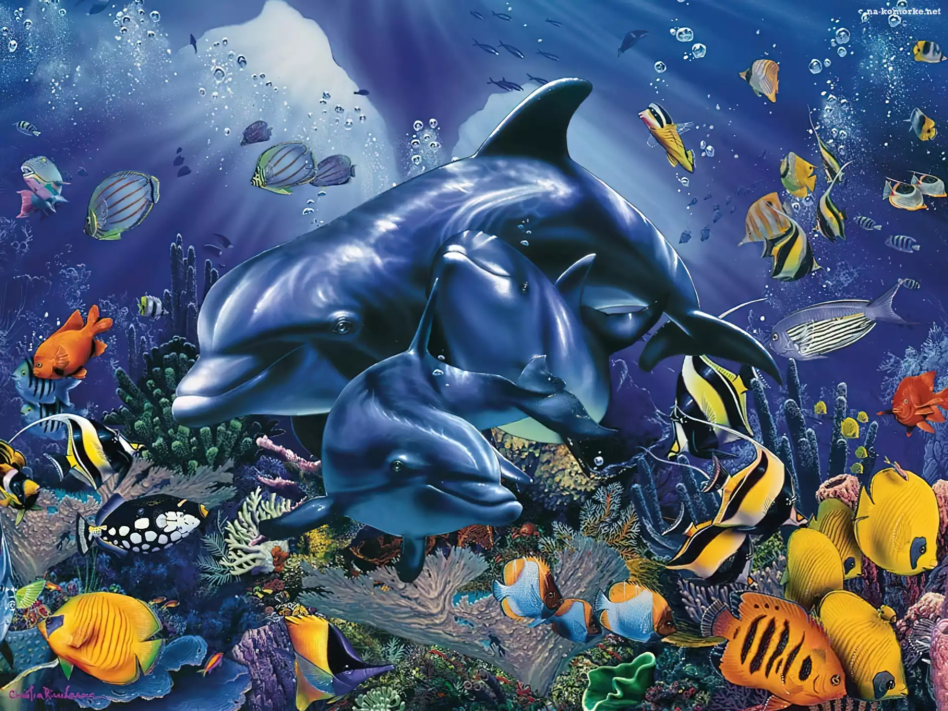 Delfiny, Koralowa, Ryby, Rafa, Ocean